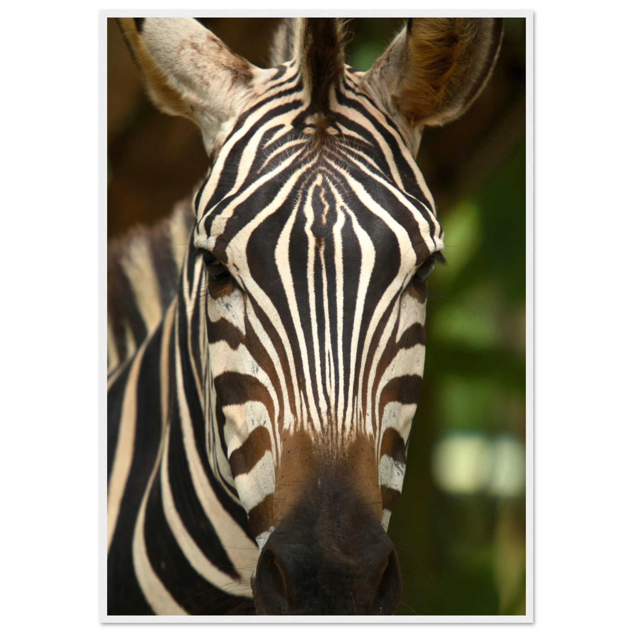 615342e5-a40d-403c-91cc-9080eab8c8c5