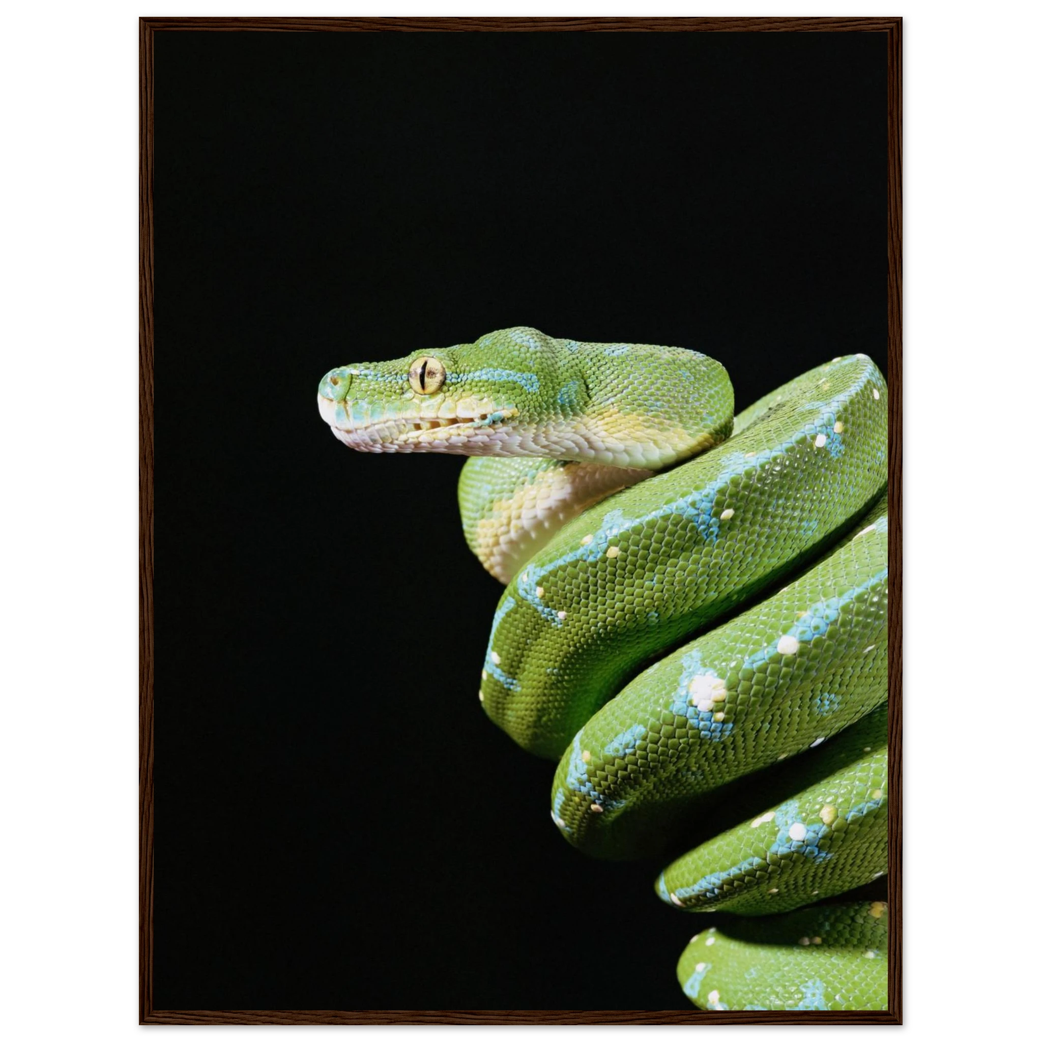 617b5cef-149a-41ec-a4e6-fb9b42489cbb