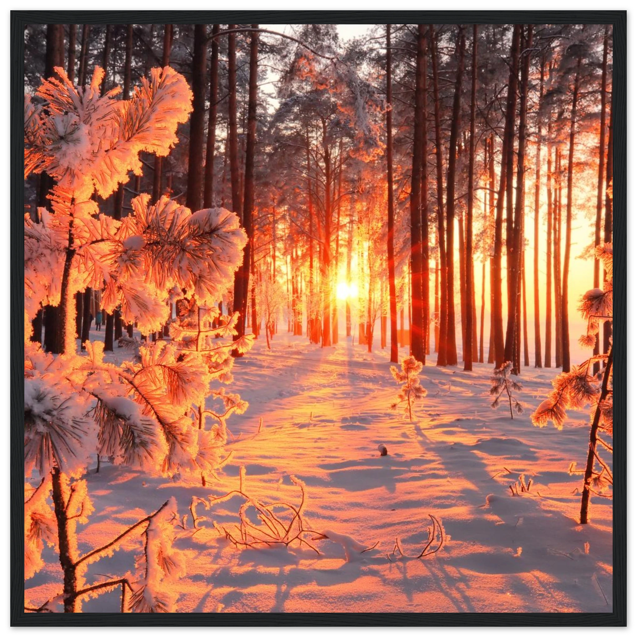 61bff111-4719-4173-9ce3-9d33b00ffa83