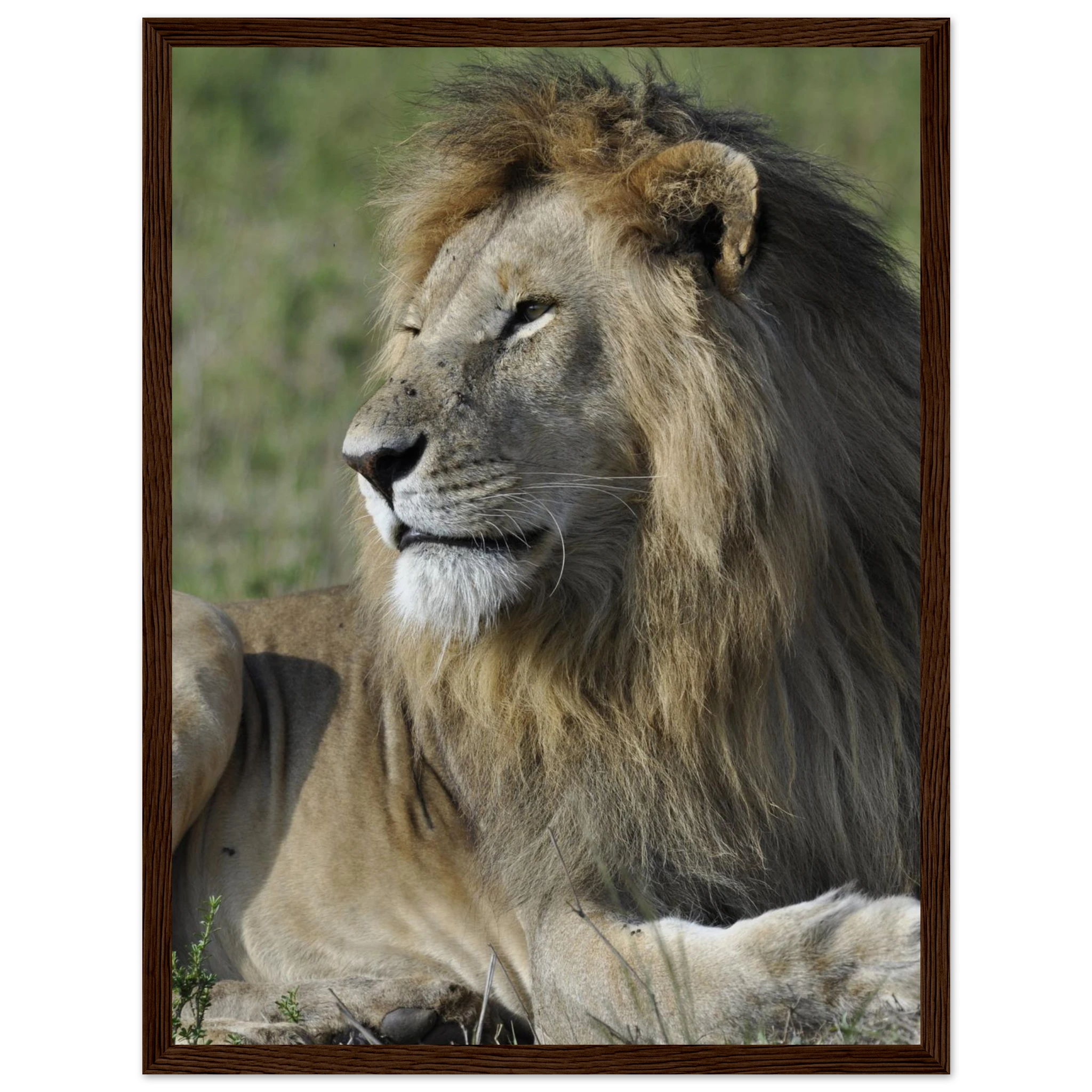 61e8866f-fbab-48dd-8fa9-e3c3be12dd57