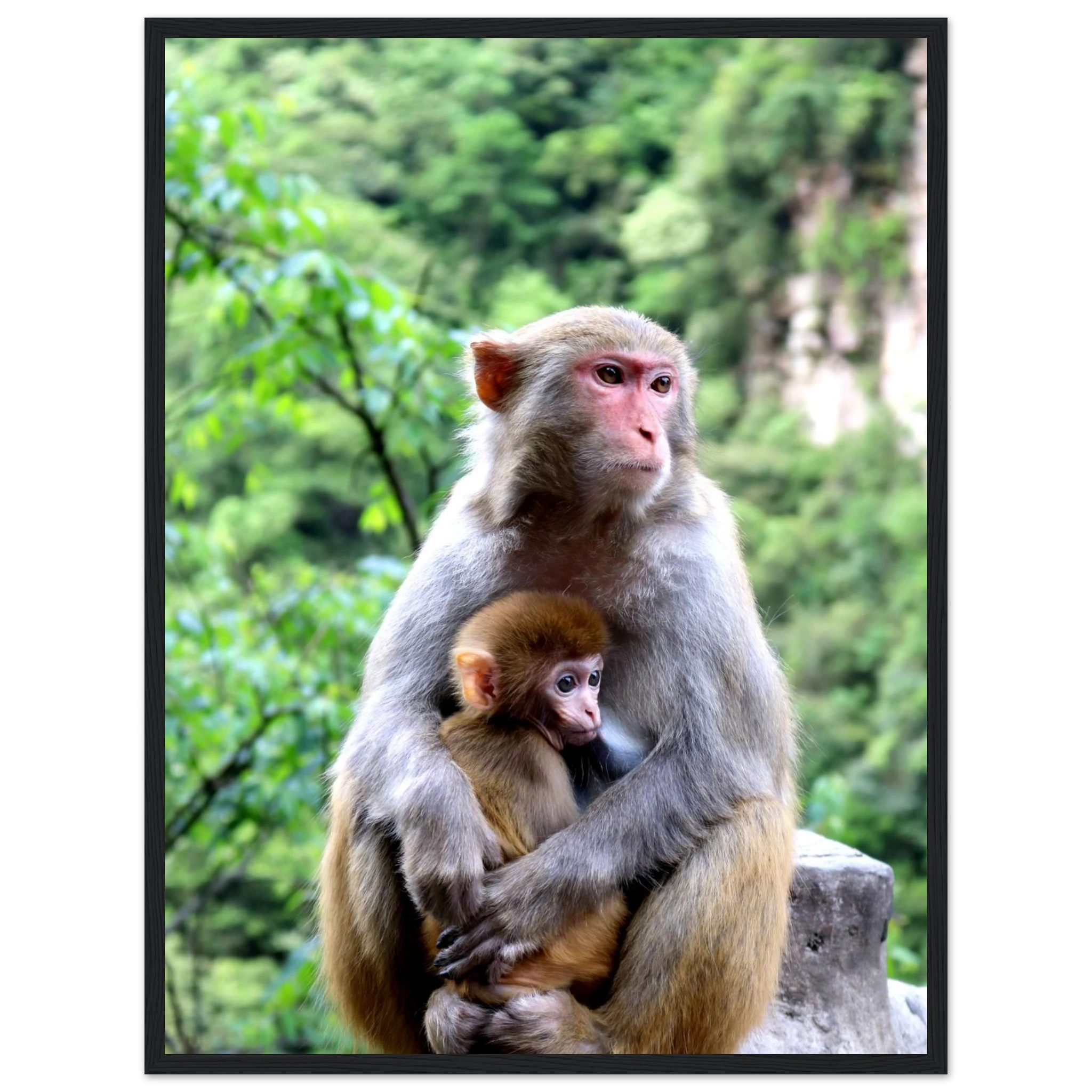 61fd6659-9678-441e-8341-9792ea38c9e4