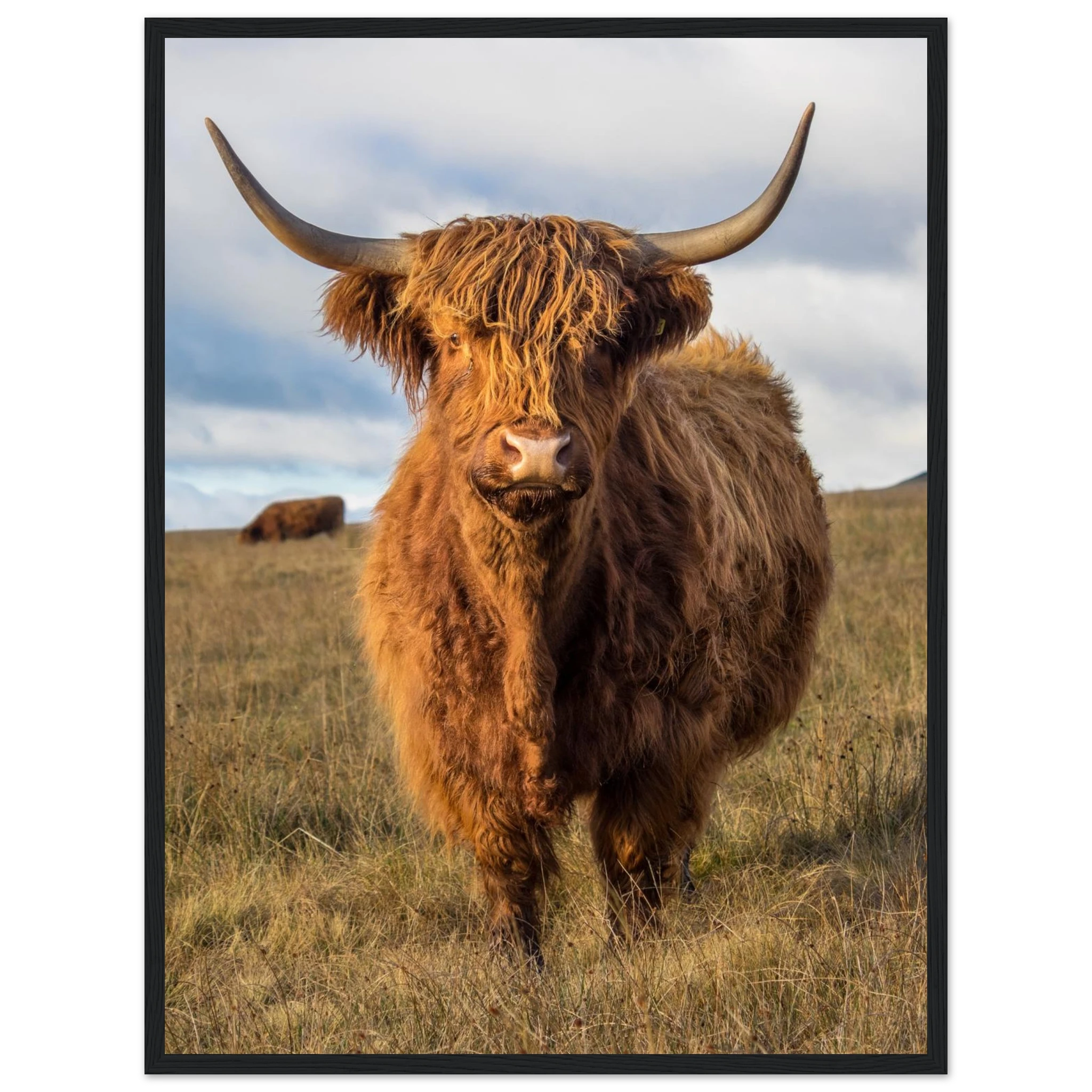 620713a1-f92b-4993-a093-037220d6c568