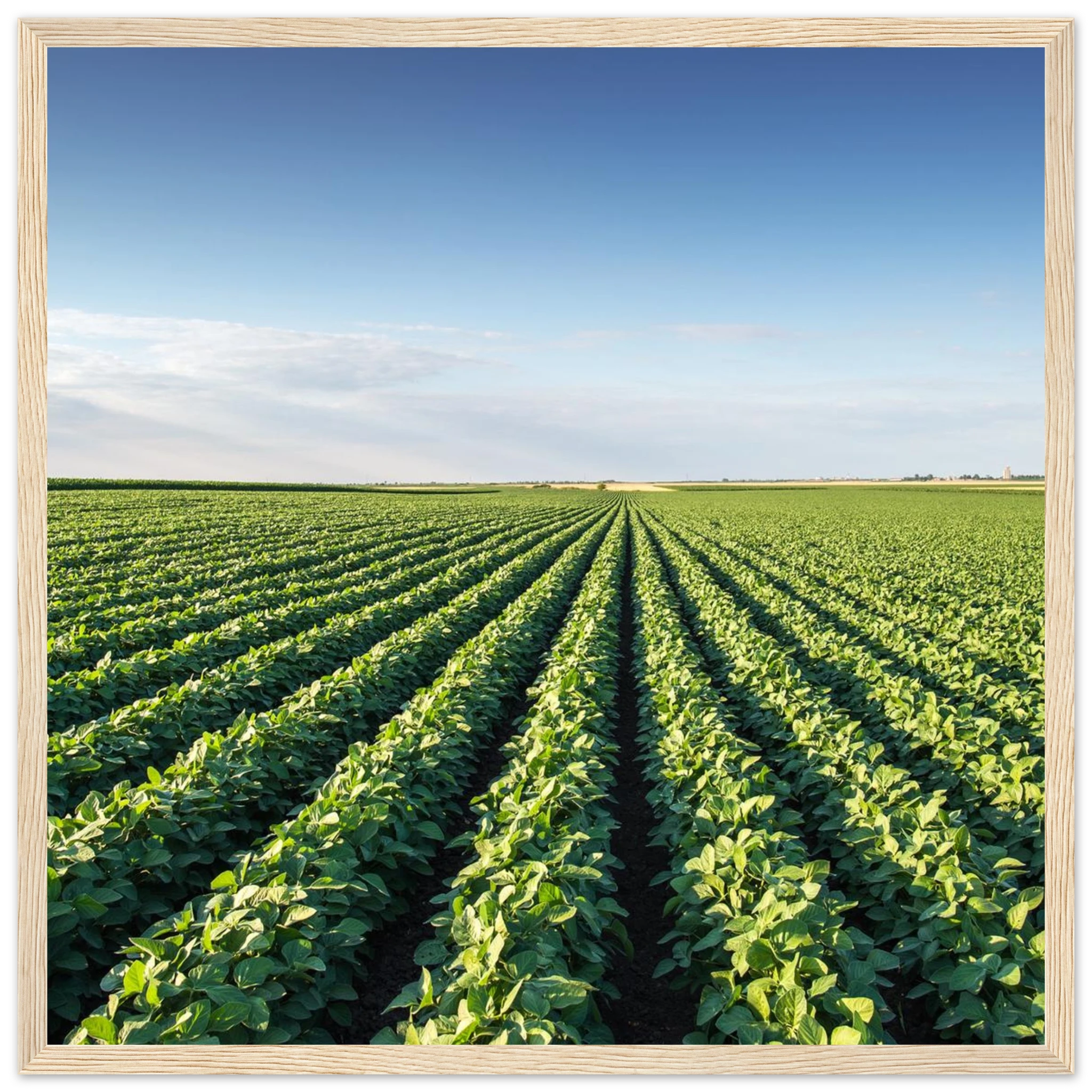 62137ba4-92a9-43ea-8e76-e4216a387b44