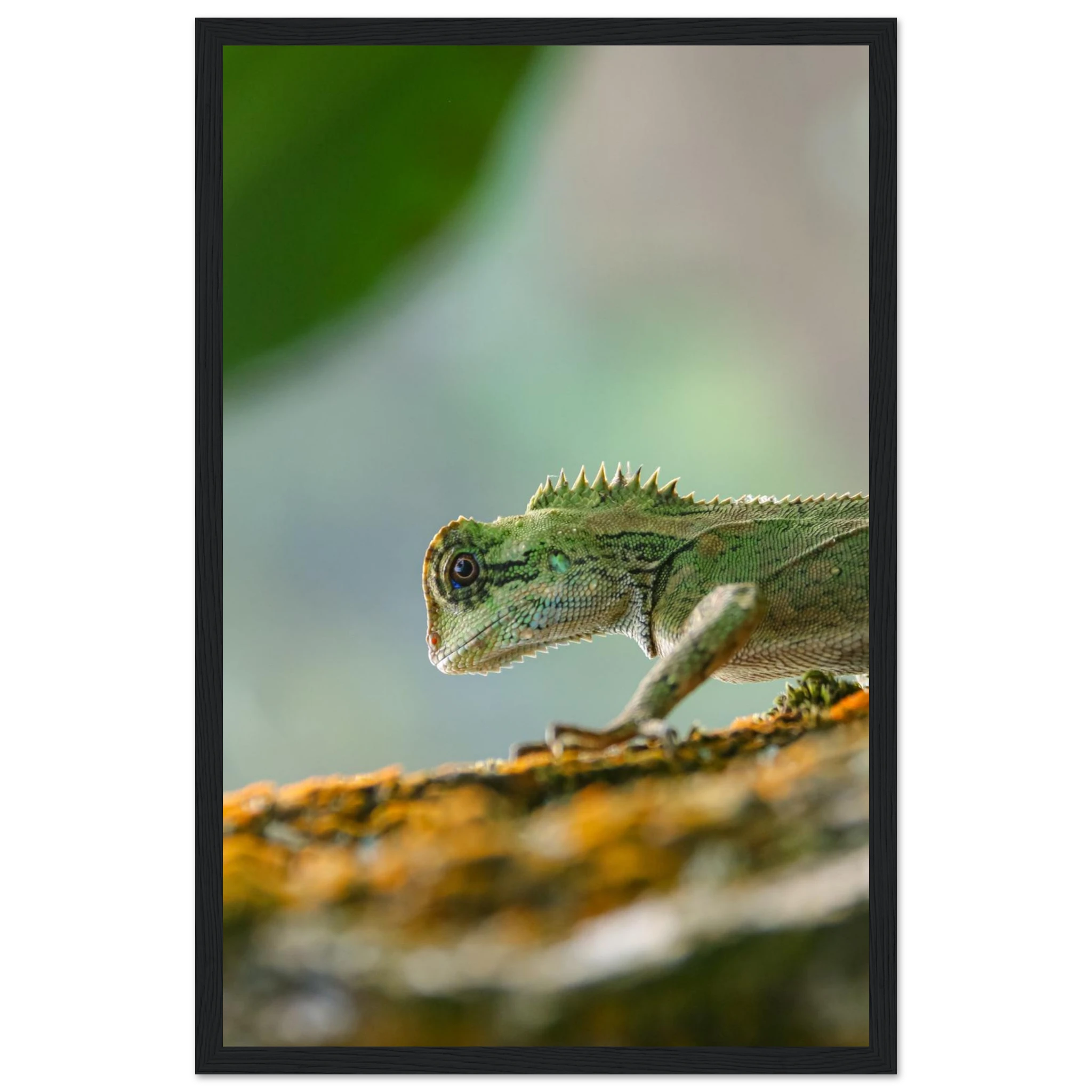 6217ea1b-12ed-4ec1-a00c-3839e60b42c1