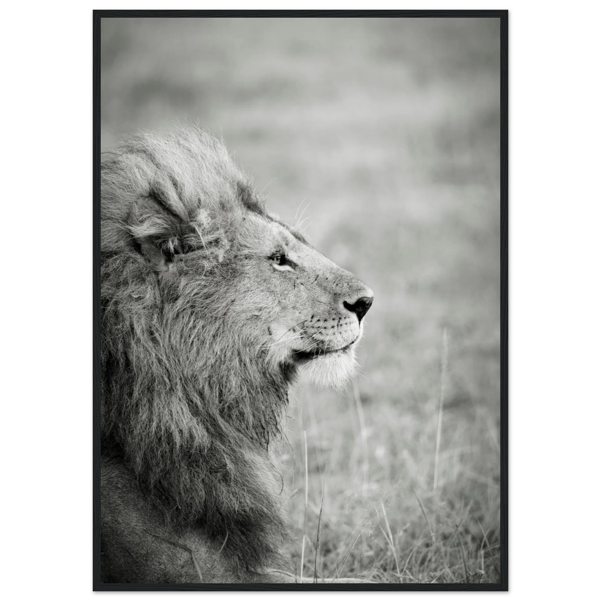 62345414-e6b9-4873-ba11-b15fbd08d0e9