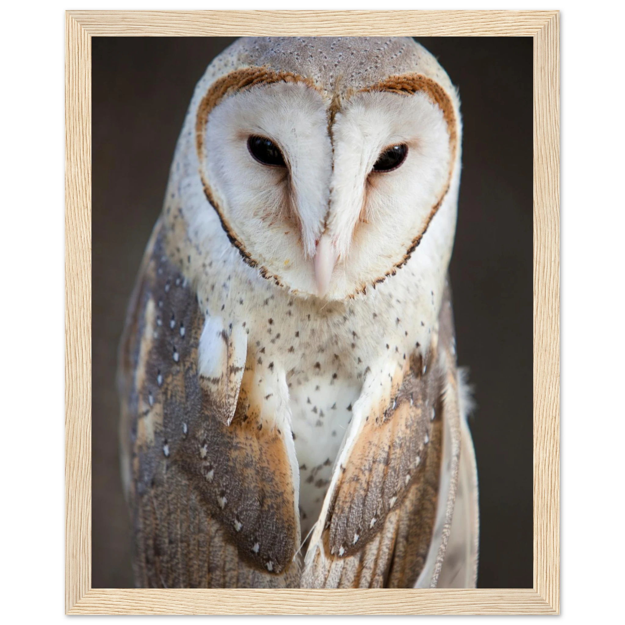 62766860-b4b7-4c8b-8065-15048189d835