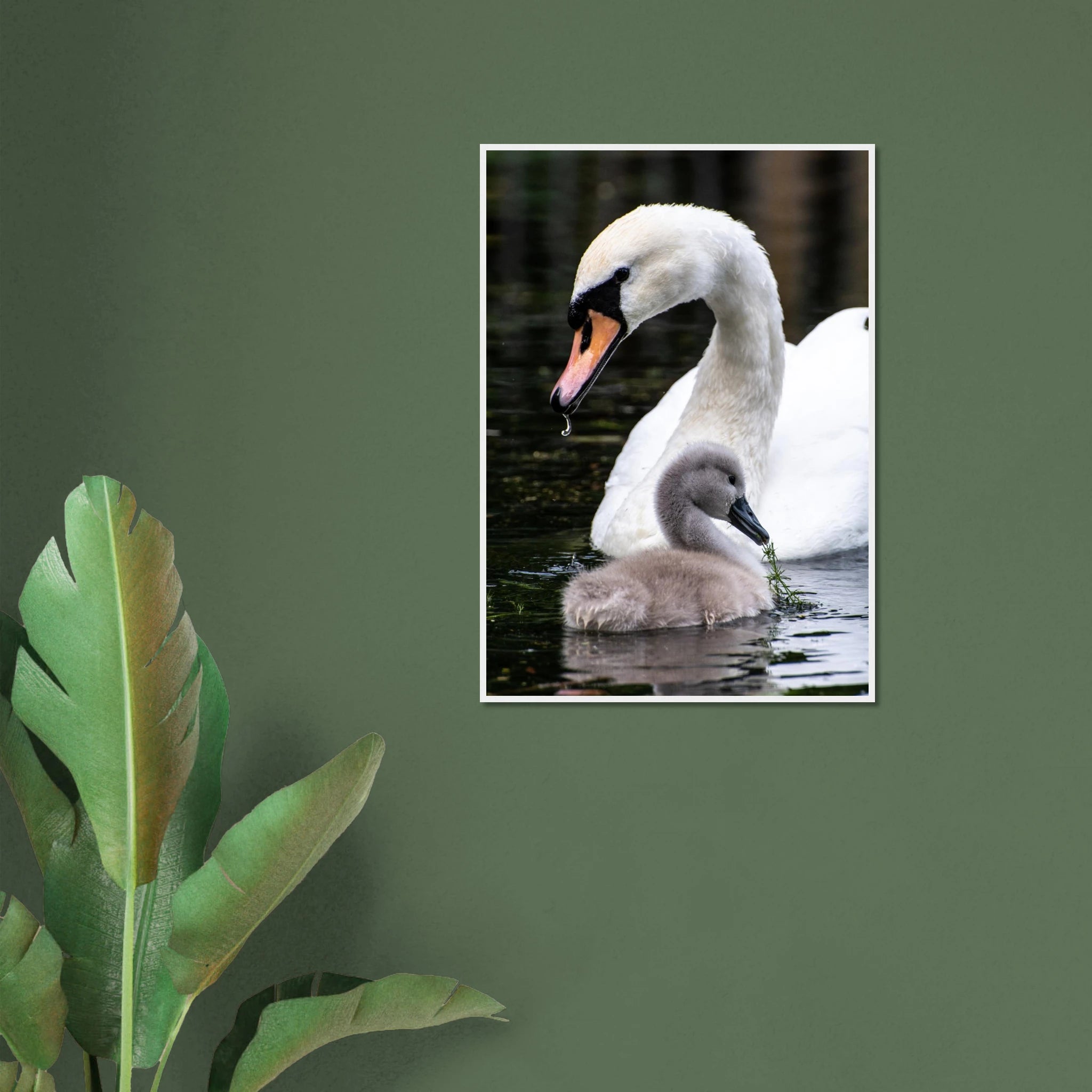 62766e28-fd53-4369-9f73-20836a69bf0c