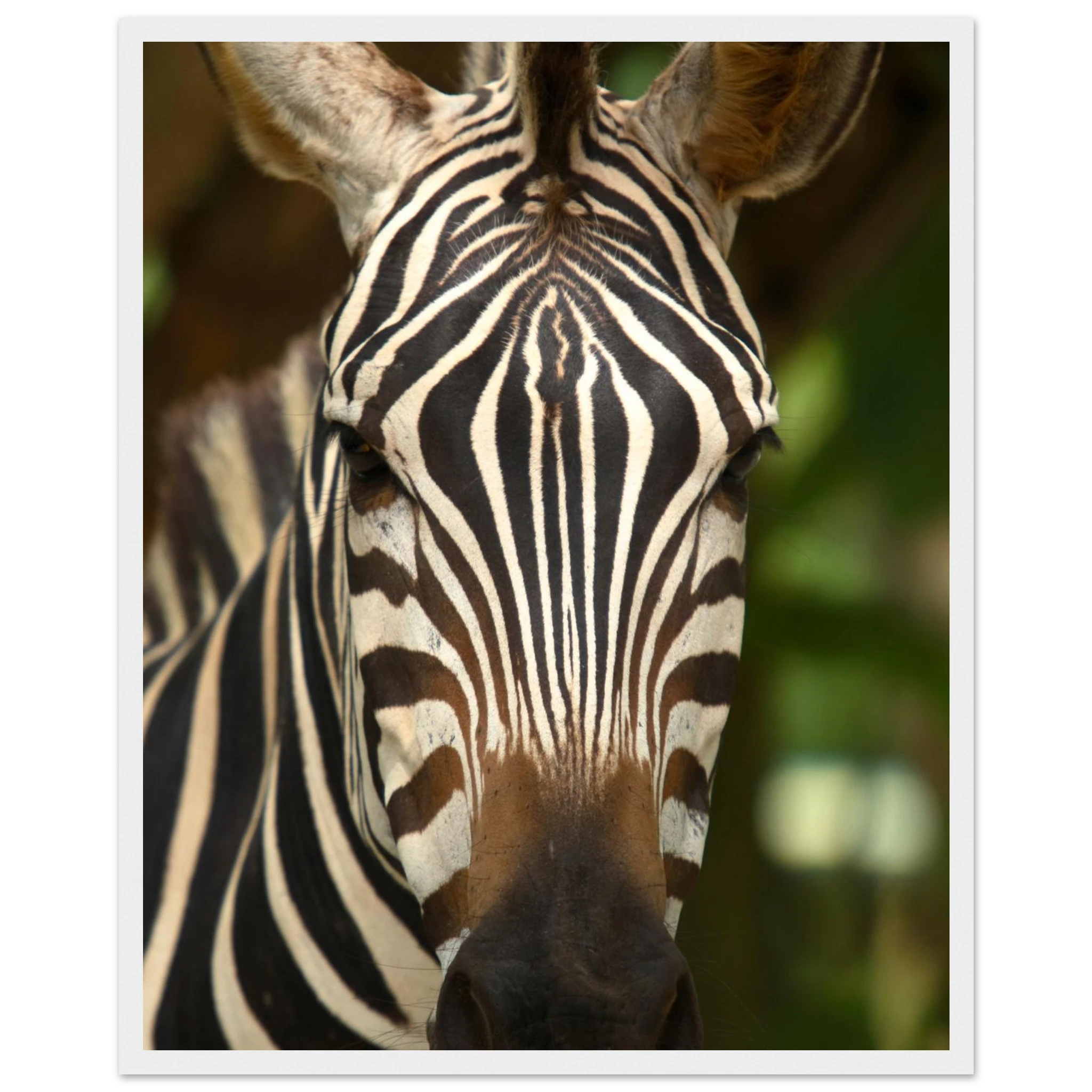 62836800-94cd-4c2e-bdc6-59a4257c8c7b