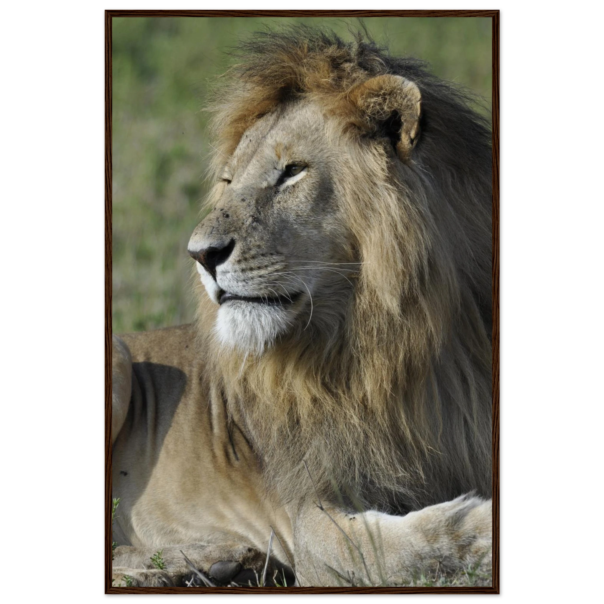 628e7766-4ec3-4236-9427-06fdc29ead54