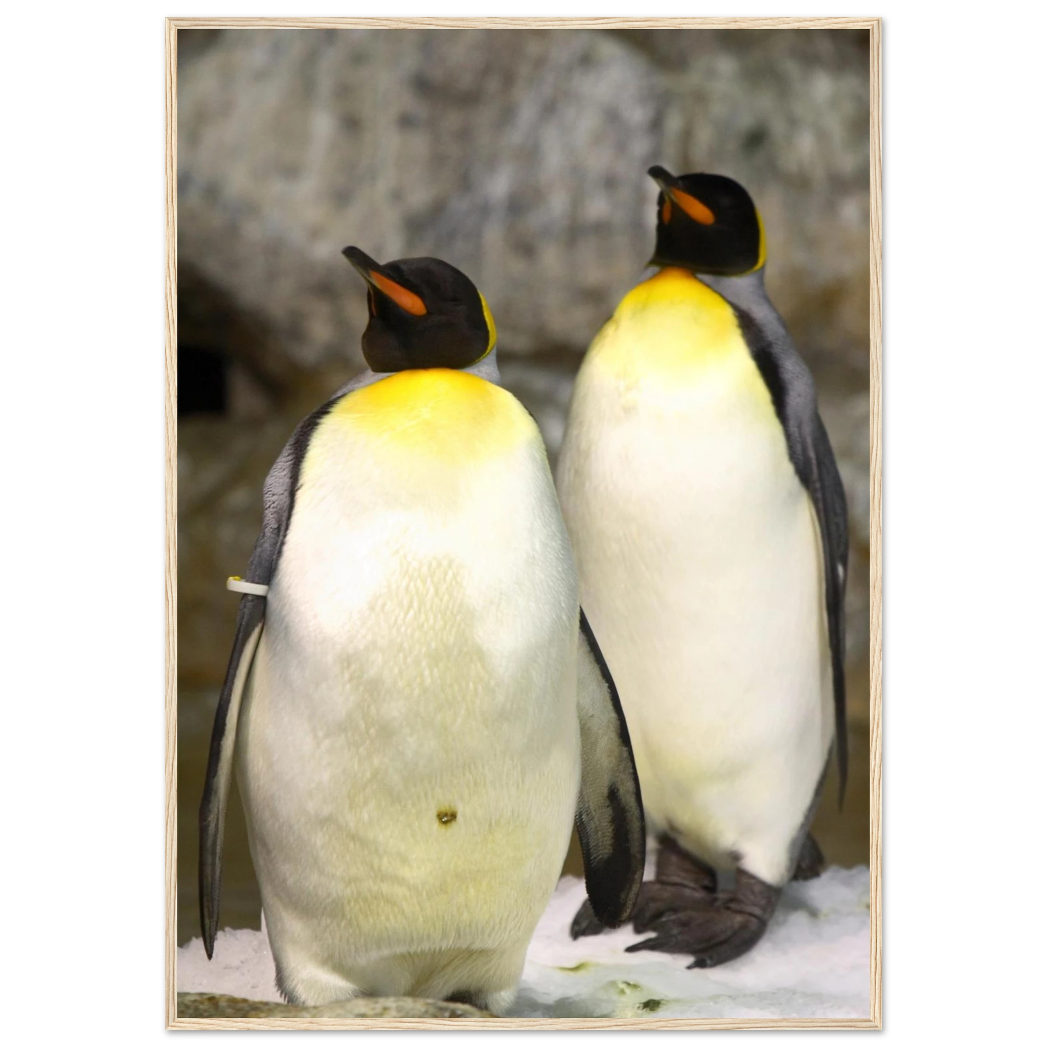 62c45852-319a-493c-904e-1593baa62b33