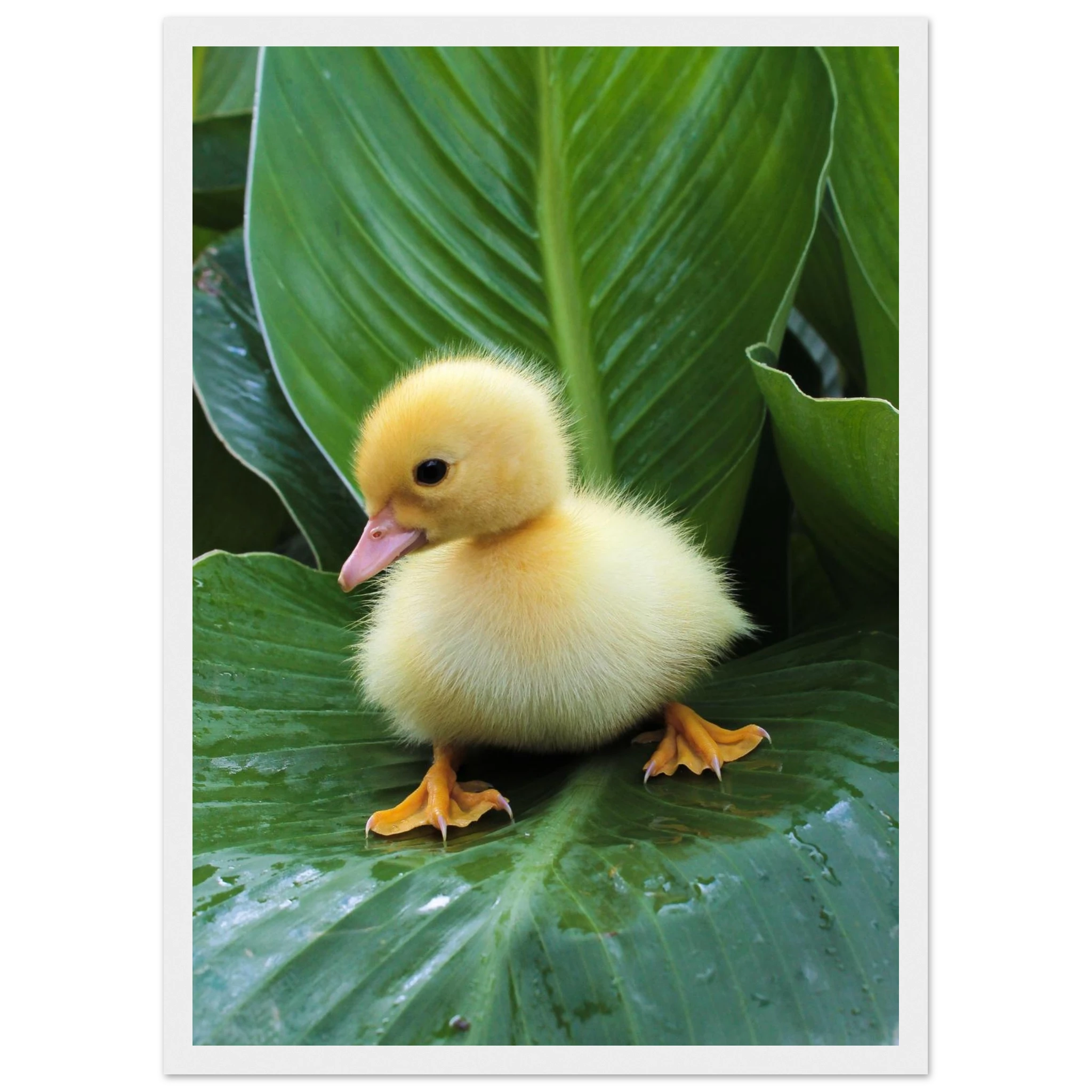 62cf0f2c-2101-4333-b239-5b97b9f7f372