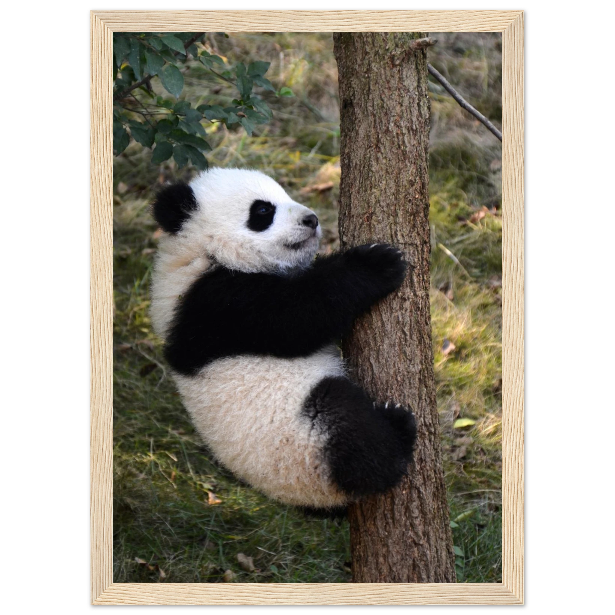 62eb3bf6-5dcd-470c-9797-74fe1b2e0bbd