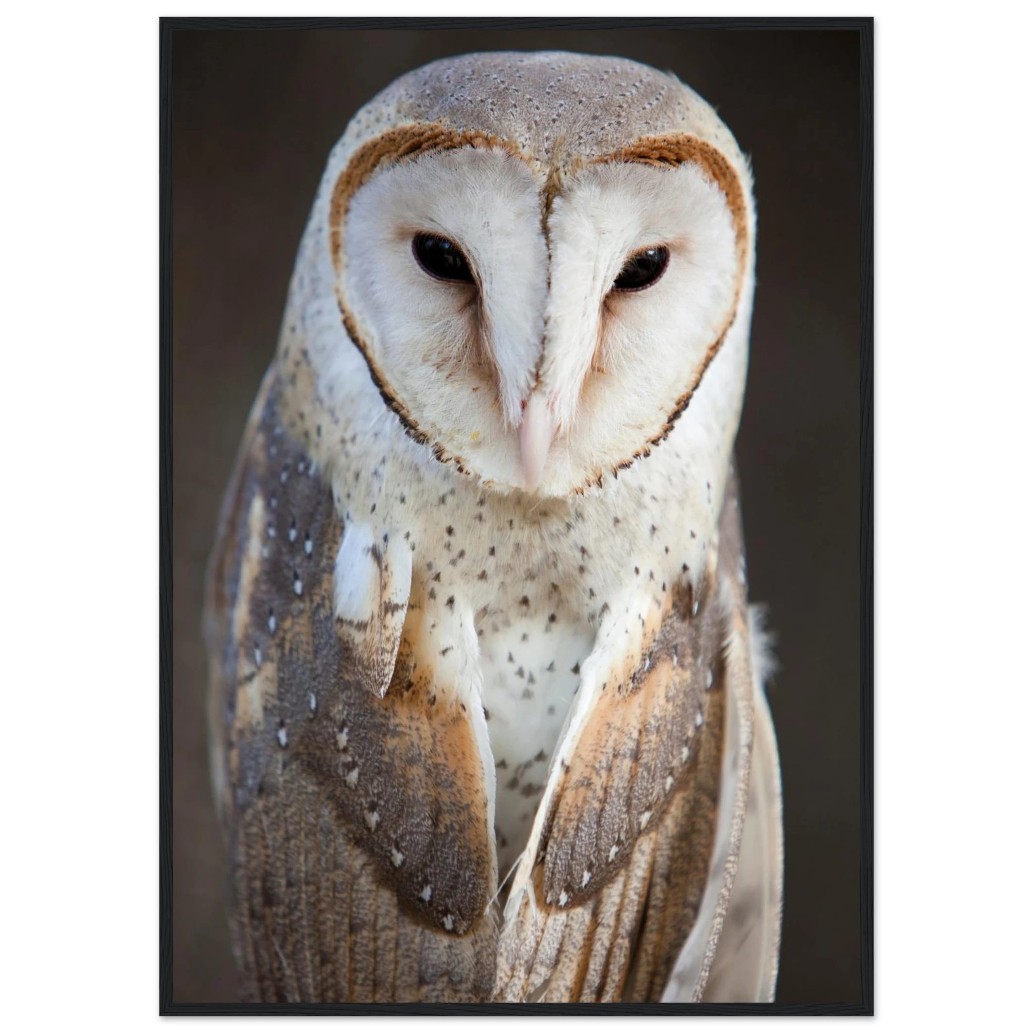 62f3f25d-0c6f-4477-9e81-43202602abe3