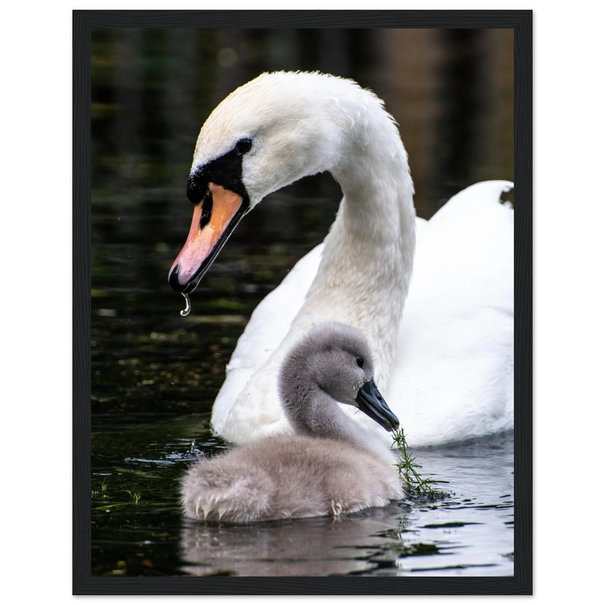 63133901-9cd5-4f5c-957d-5099d323c537