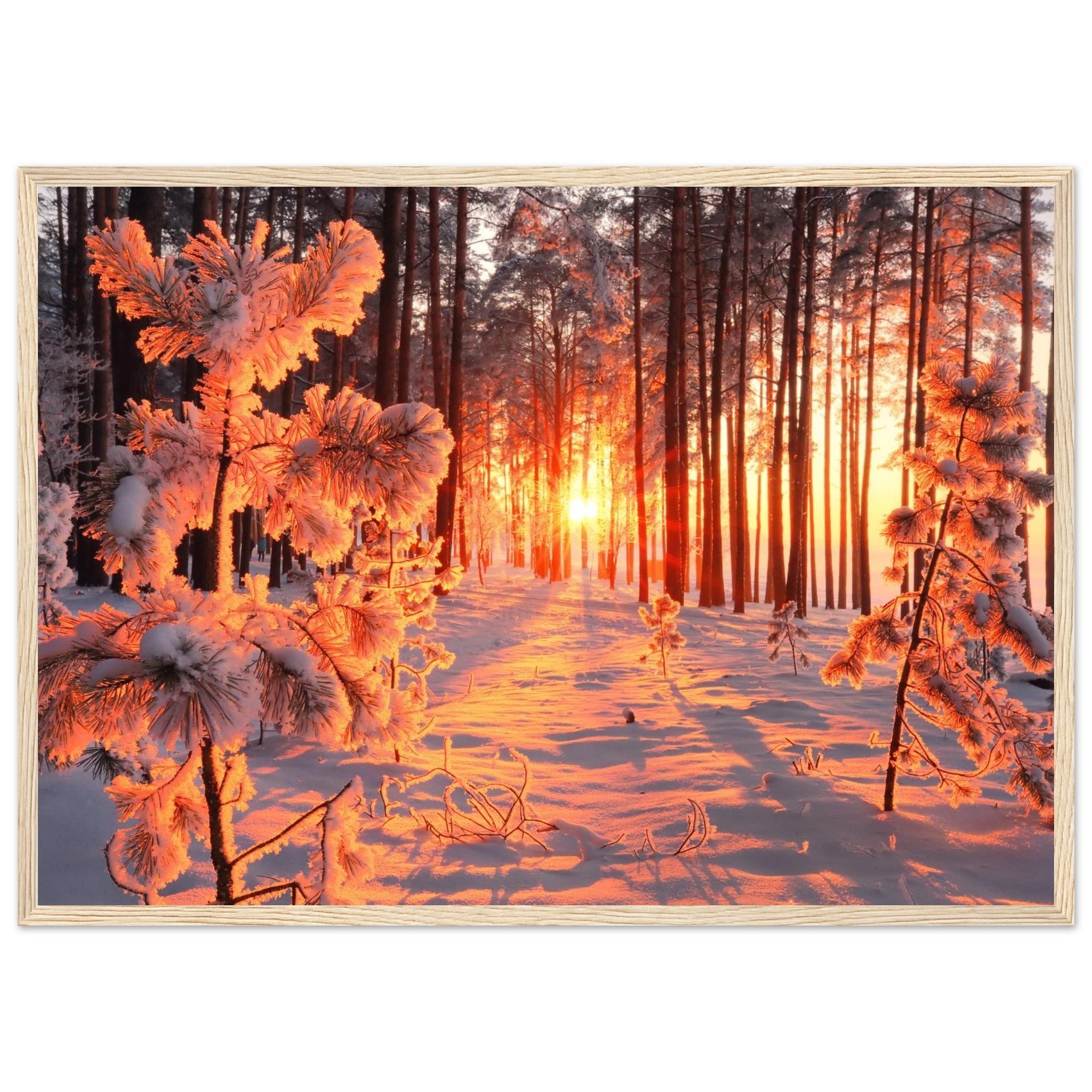 63169b1a-dcb0-44d4-b181-715c148f621c