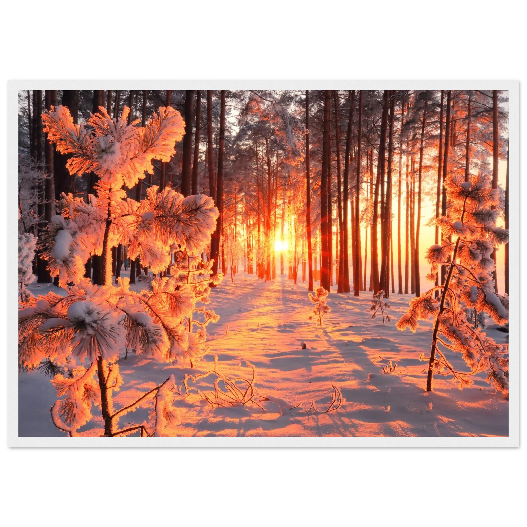 636e926d-3504-4c25-aef5-05d84ef08d23