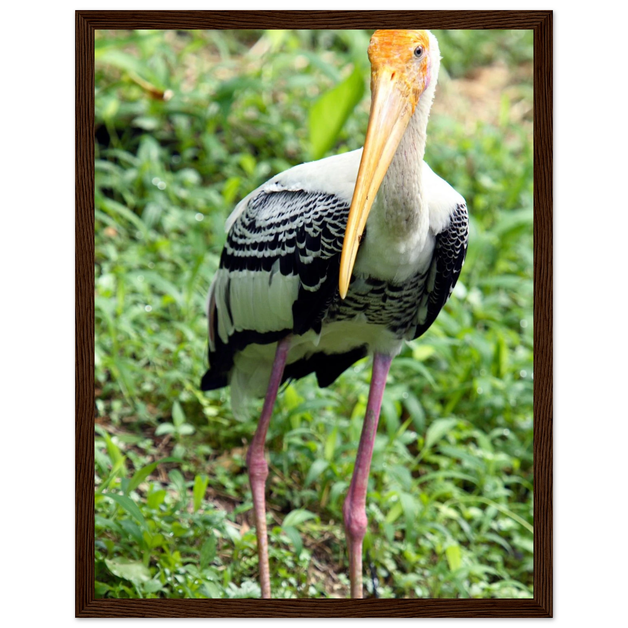 63ab9f0b-f035-446f-bcf2-682de5817165