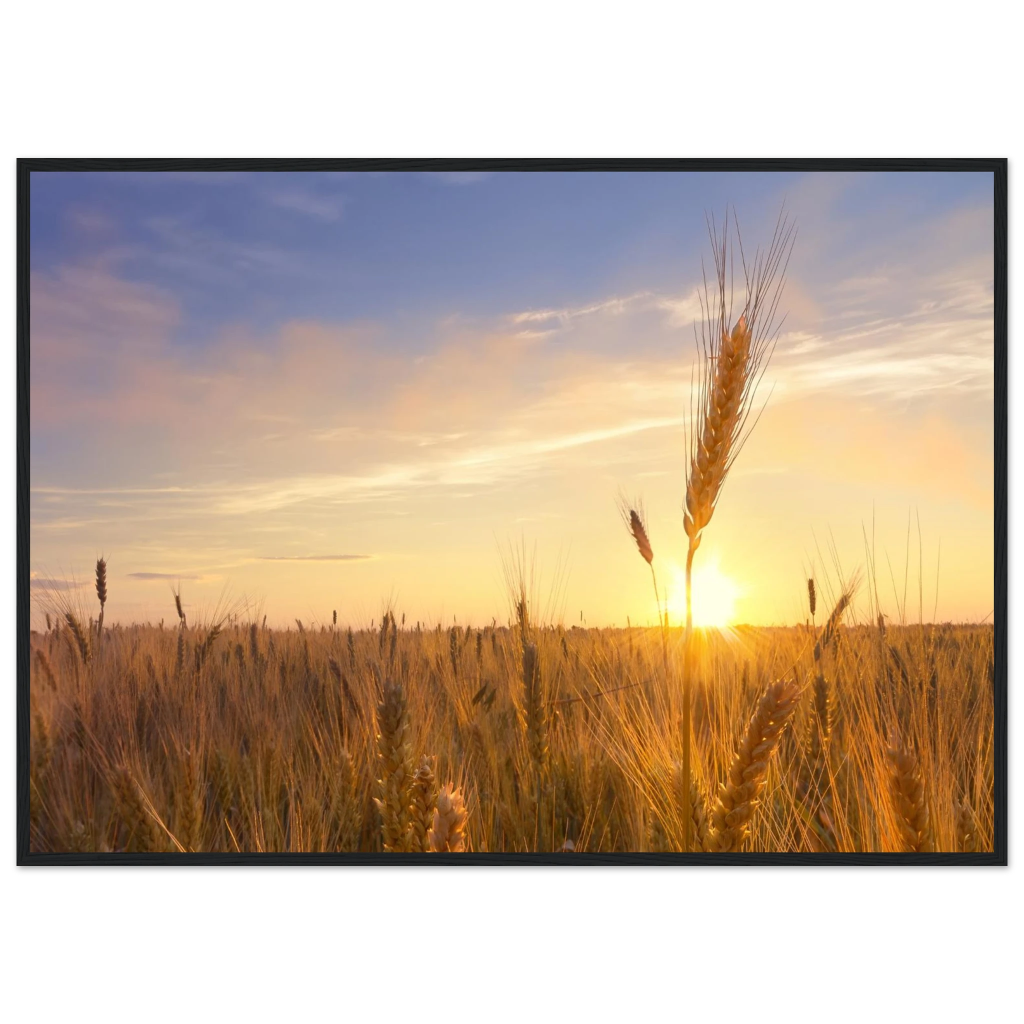 63ad56d4-15c0-4cad-9163-4c739b84fe6b