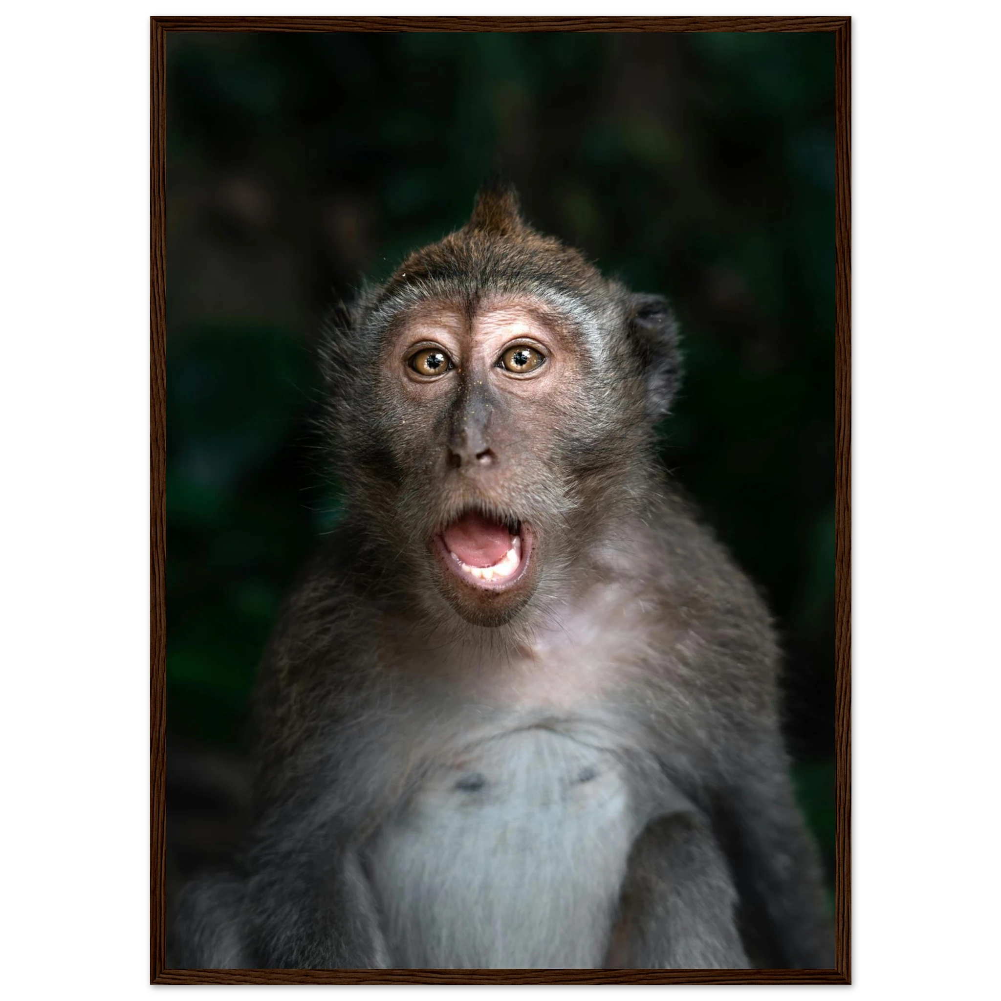 63cc952b-409f-4438-95e3-01dd3aa8cd9a