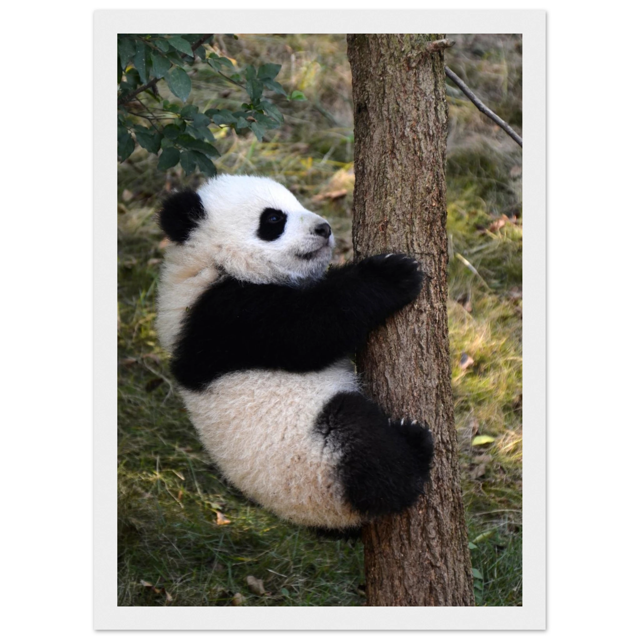 63dc12d3-d7f6-433f-87bc-8d4a6c39c9b4