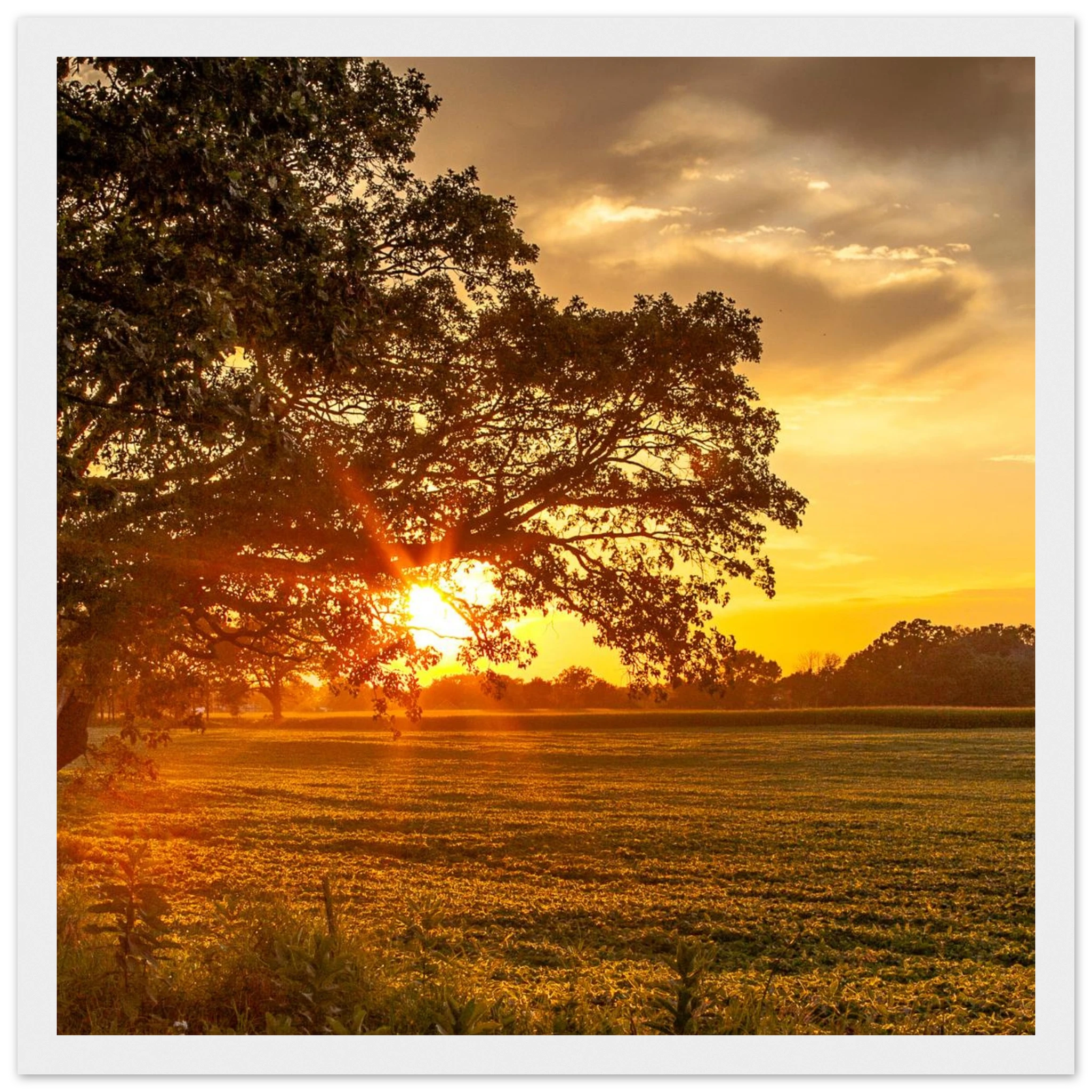 6400f20a-490c-4336-bde7-3a4b140d256b