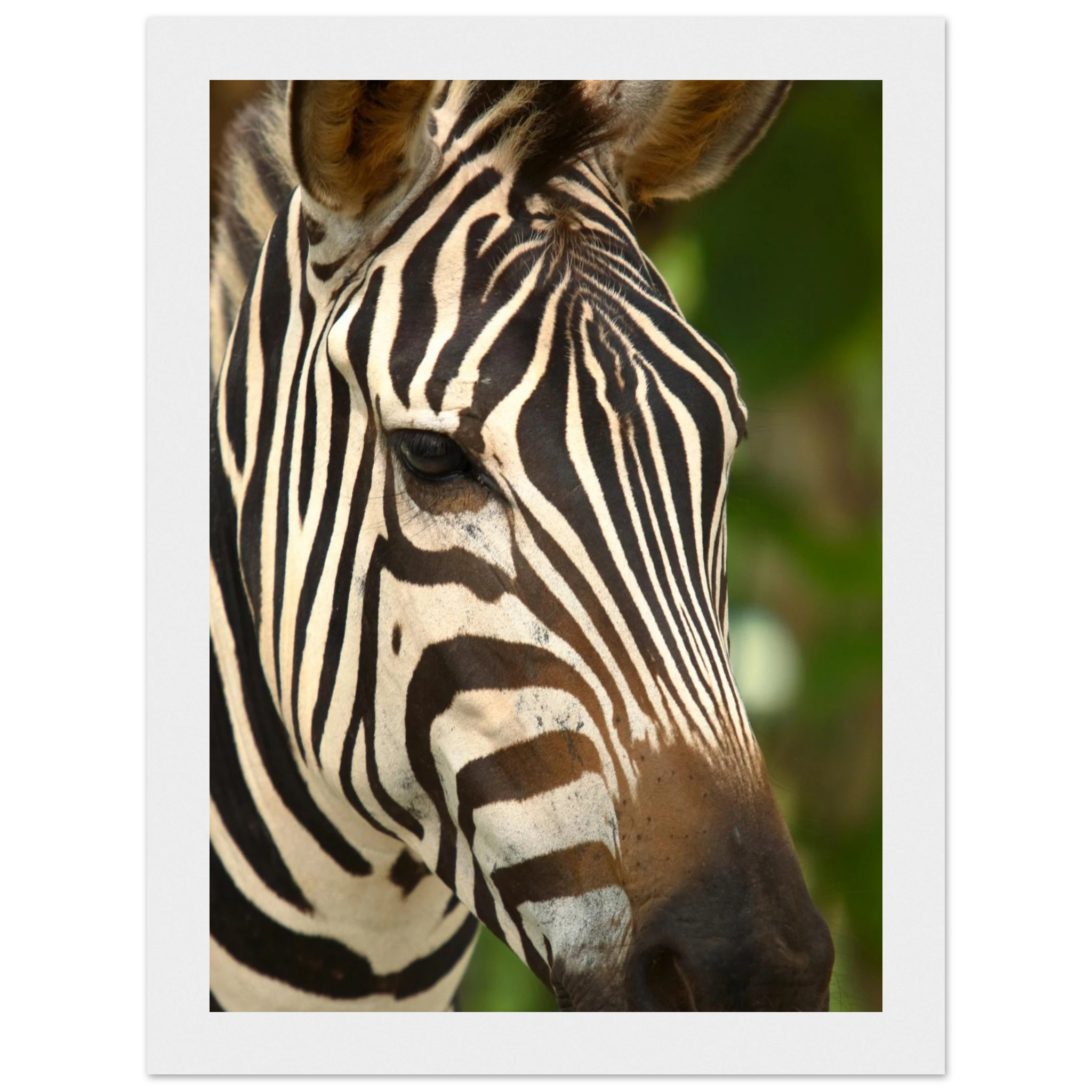 640e304c-97c3-4506-a9fd-1682c6101a80