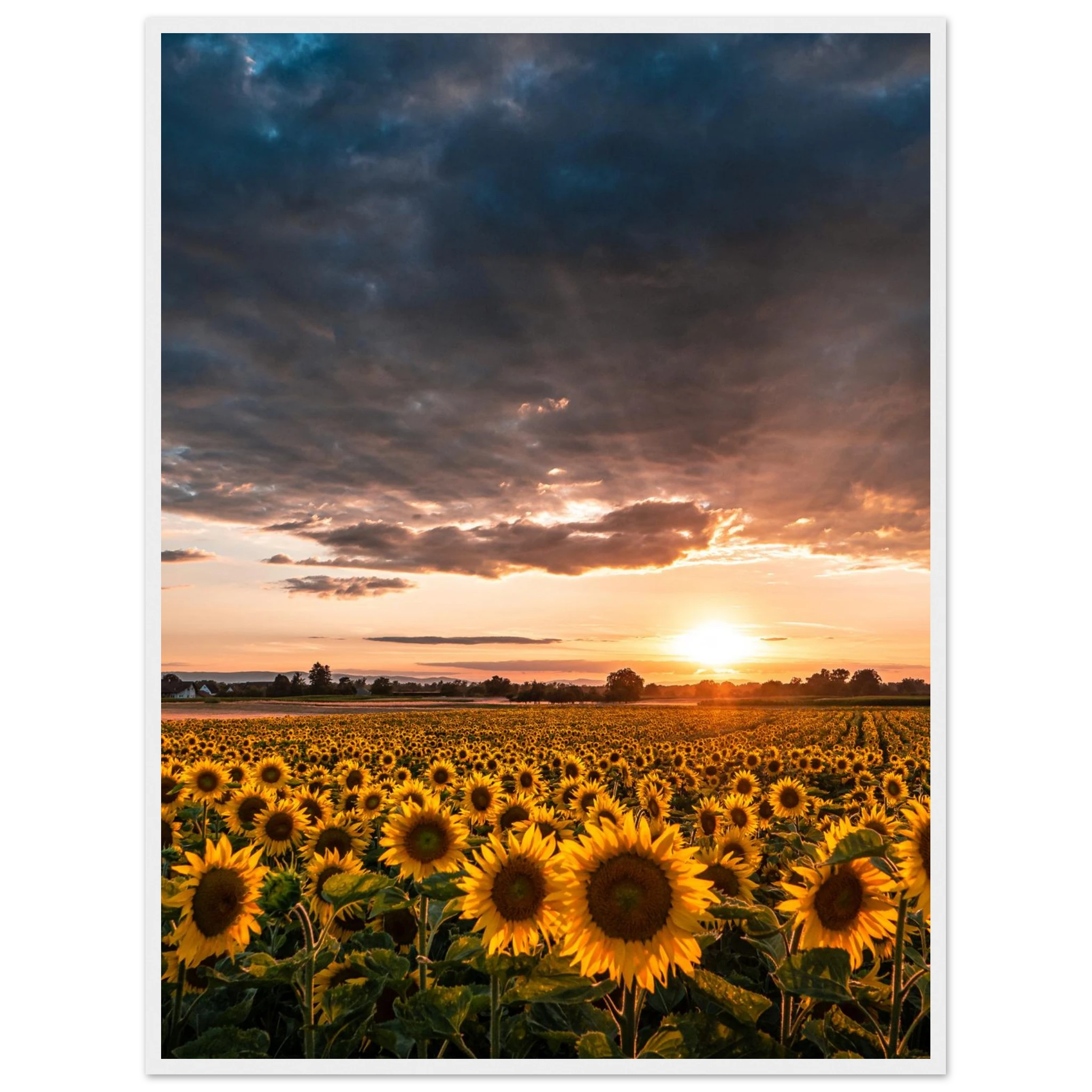 641aff04-95c1-4c9b-b45e-3c6028c8bb2e