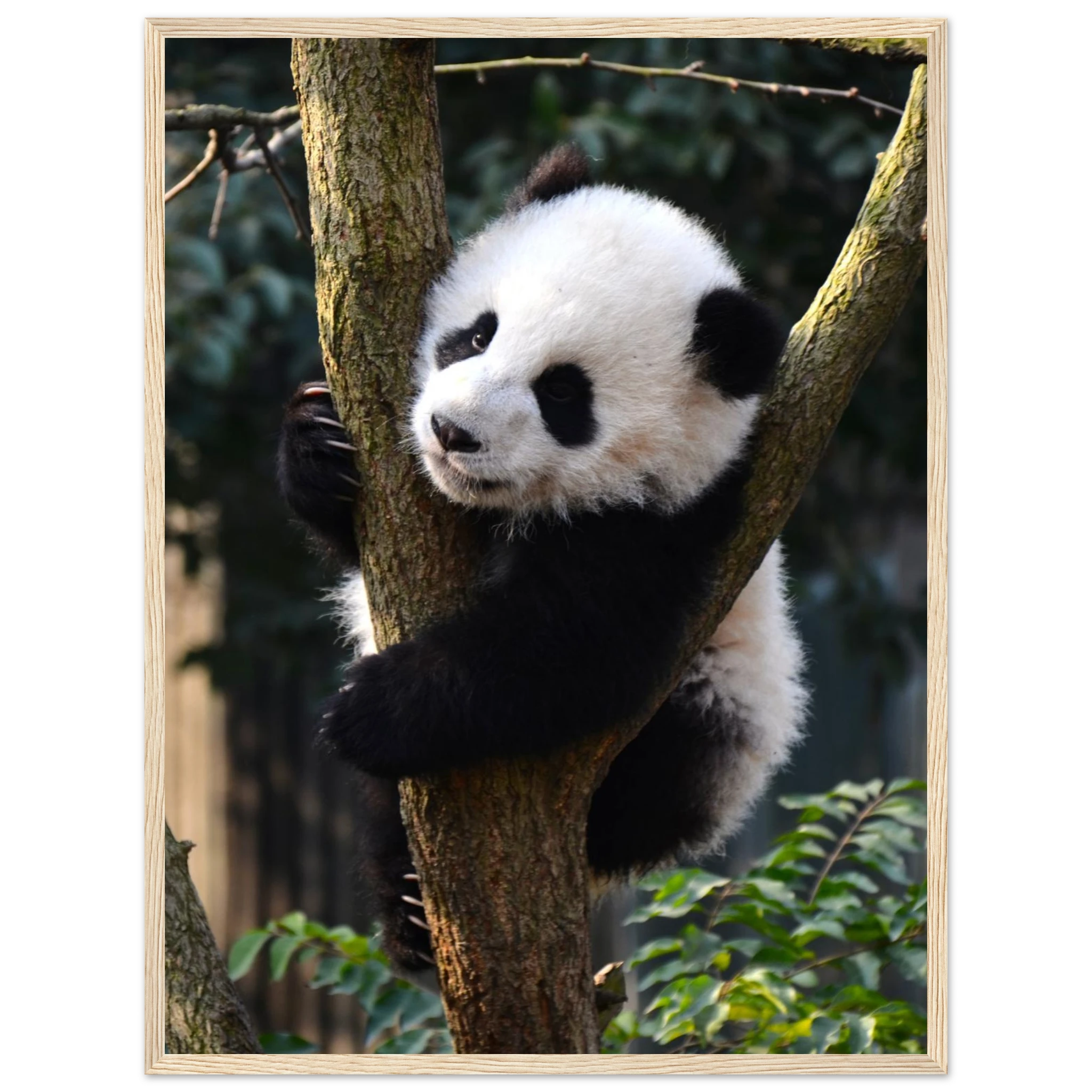 641cde91-00ee-4b55-a52d-ea8f23bba961