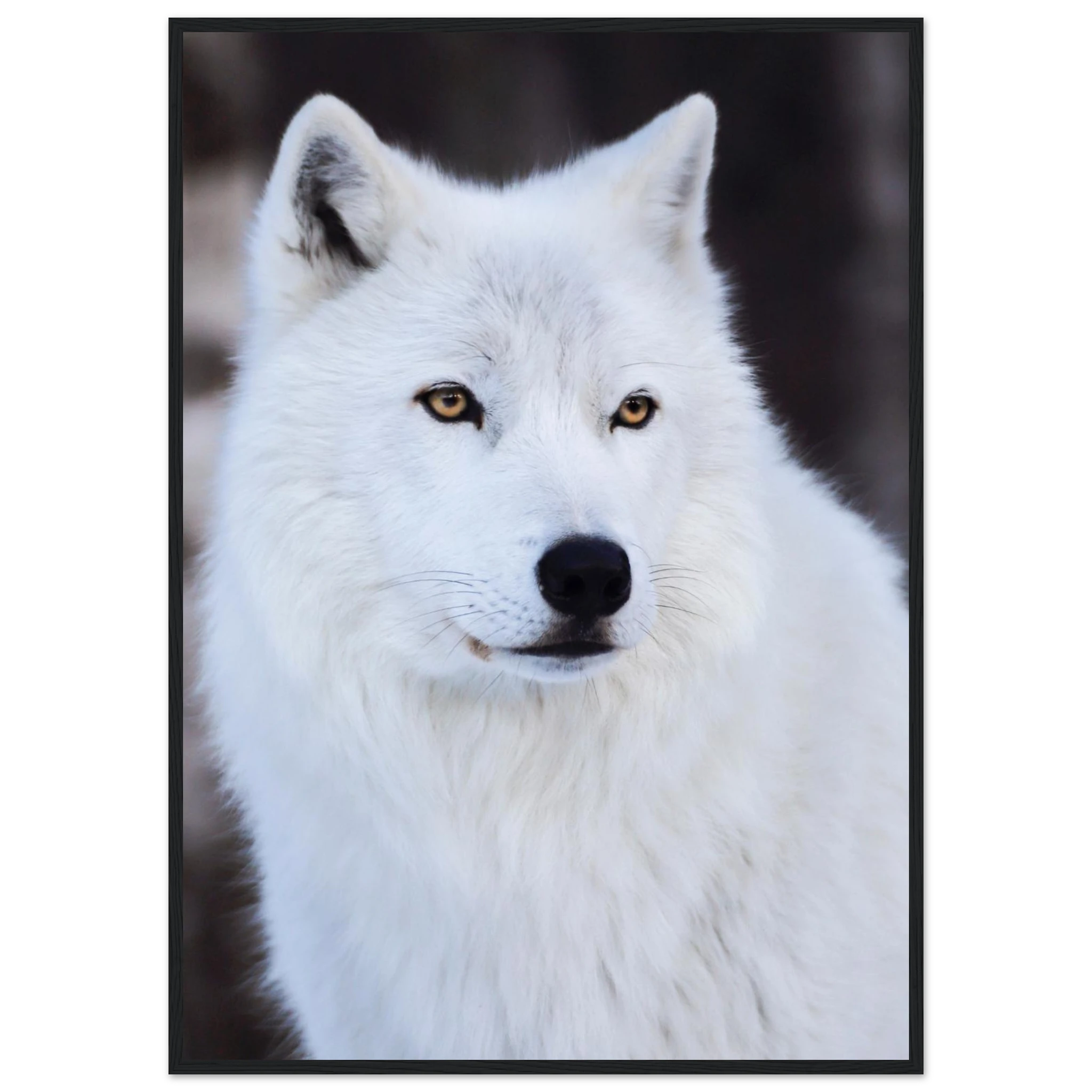 6438956c-2acf-4bfd-b8af-fc9c00123c89