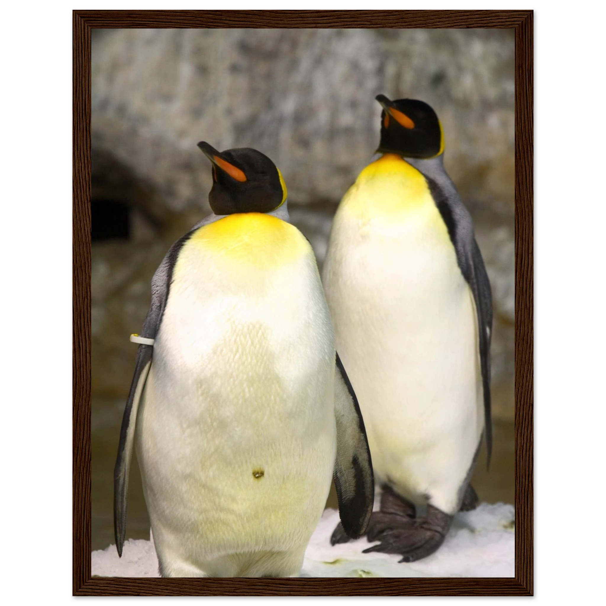 645bbd11-690a-4e0e-a710-de87cf9fe02f