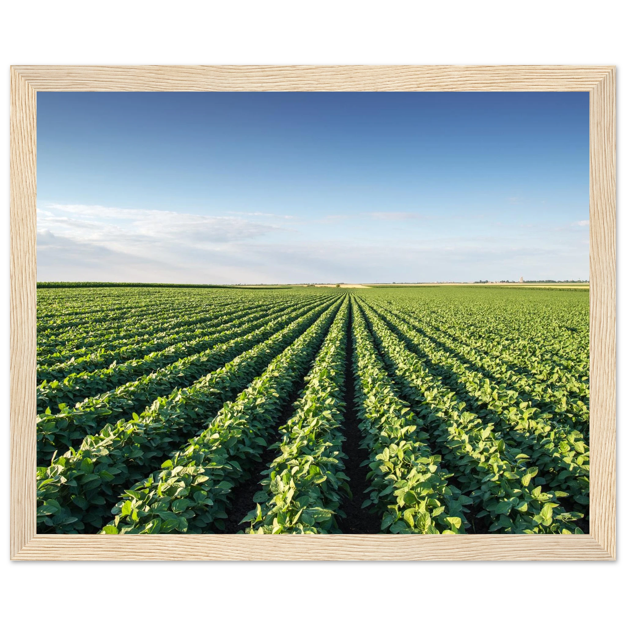 6462dbc3-a5a2-4748-88d4-2d6e71df5916