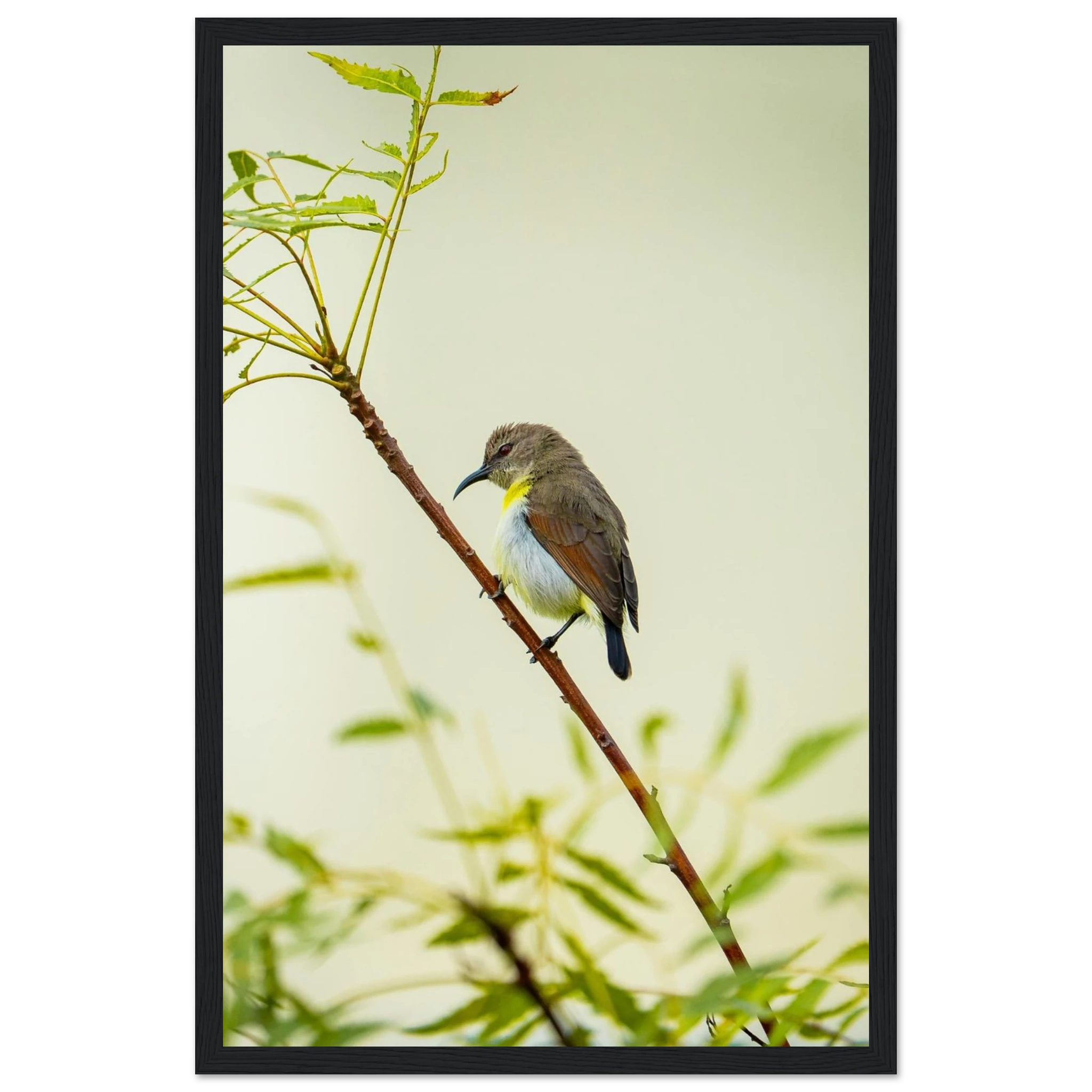 647dde9b-3de3-4df7-8063-7562ca5df41a