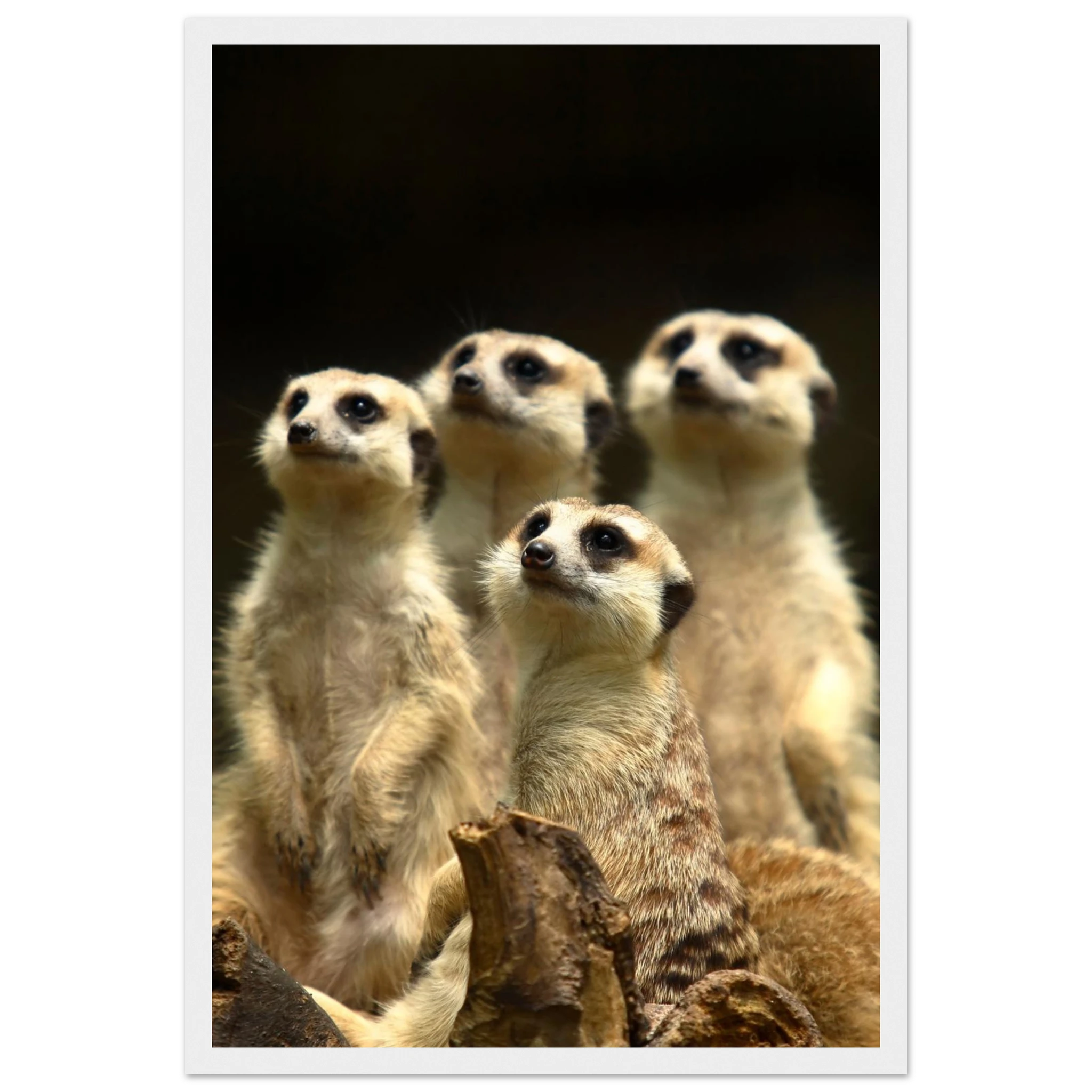 648e76b9-cc59-4774-8a8f-72b5a607afc5