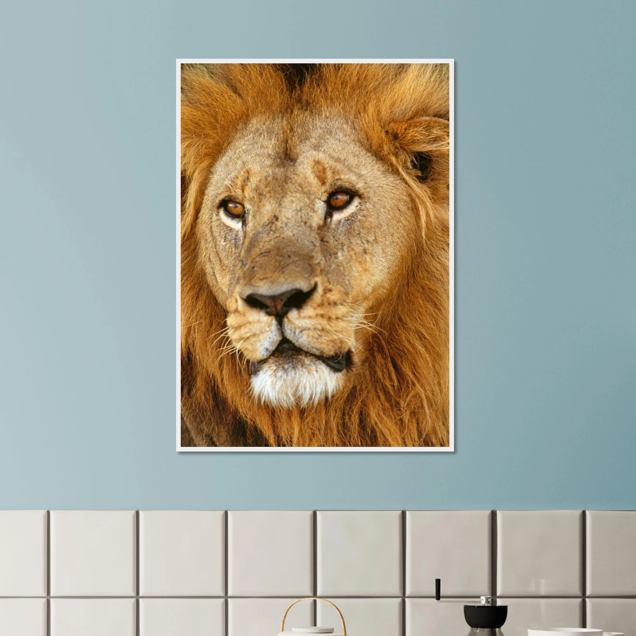 64a4638e-1469-4df1-8106-42372ddb3a72