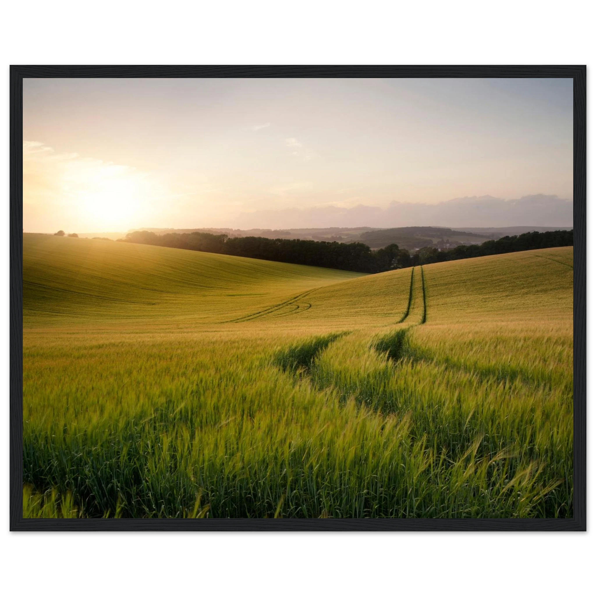 64d44e7a-baca-47a0-b75b-88a314c96b24