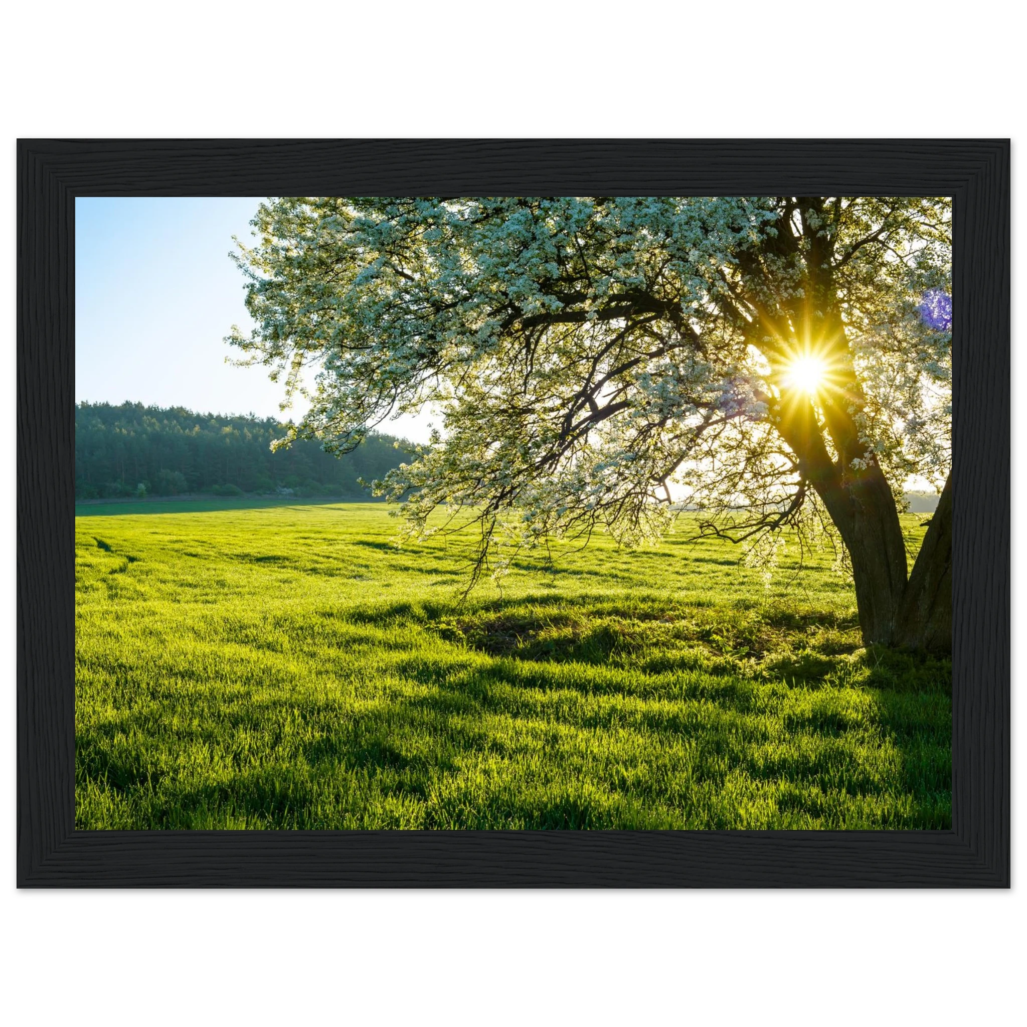 64e4234b-324f-472e-b7dc-6d745361817f