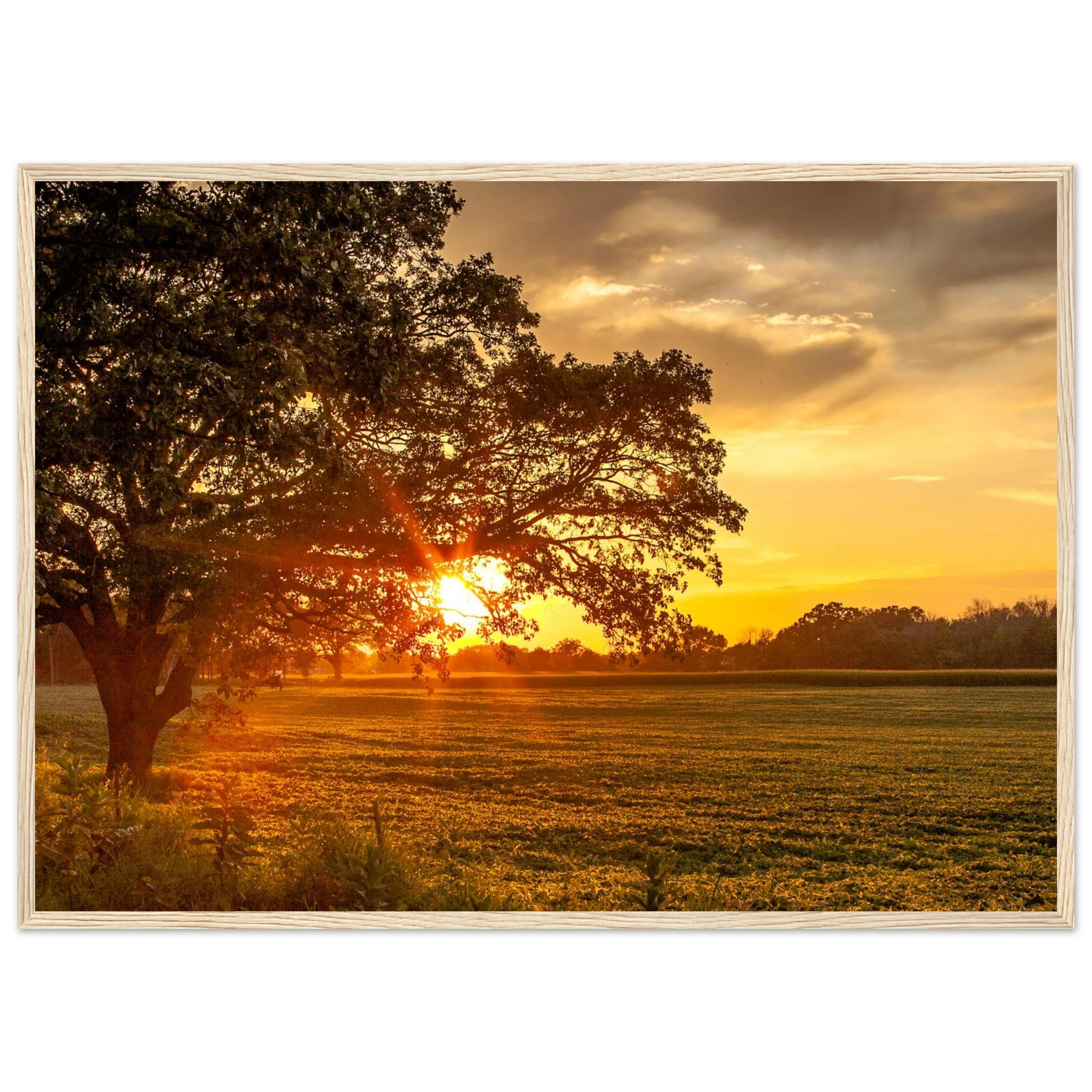 64fdd0b0-d666-4dc2-962e-f083fa390c15