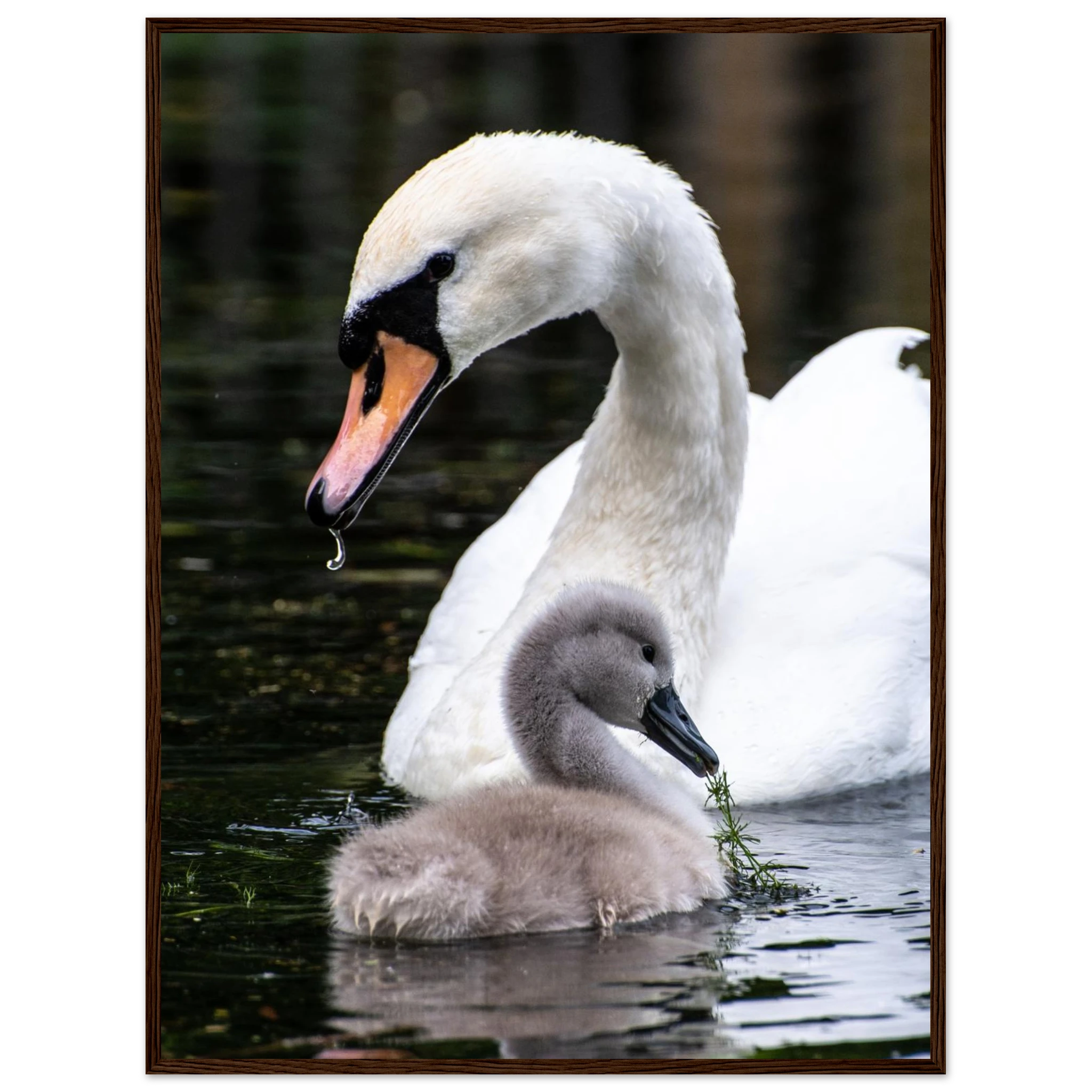 6520af55-6ddd-4b80-9512-88b99776a5c2