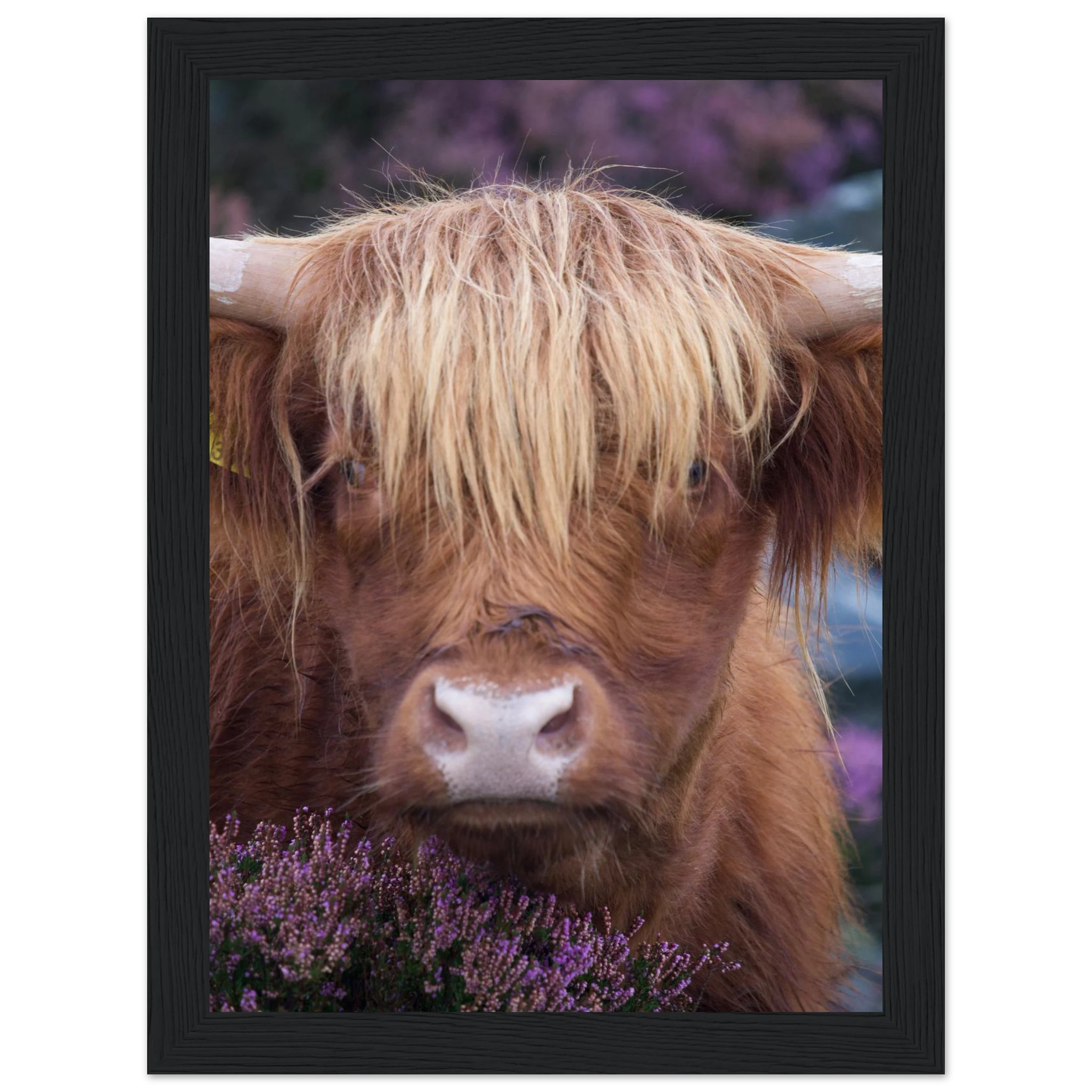 65326832-06e7-49db-b865-6d494bc2dda2