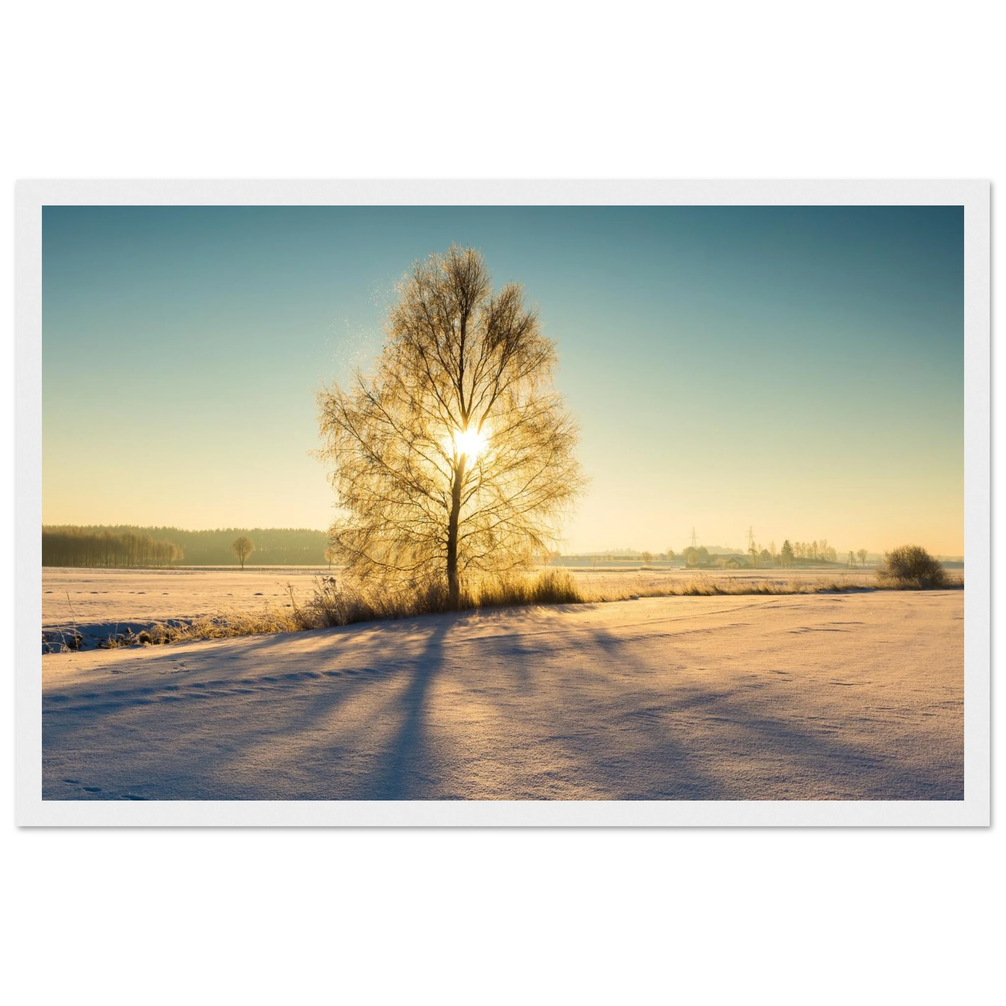 65490be6-1cbe-439b-94d7-aa88789efd98