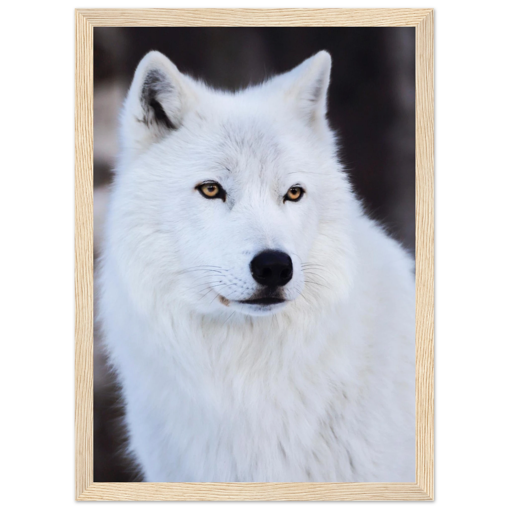 654c3f22-b51e-476c-8d18-2a15b607072c