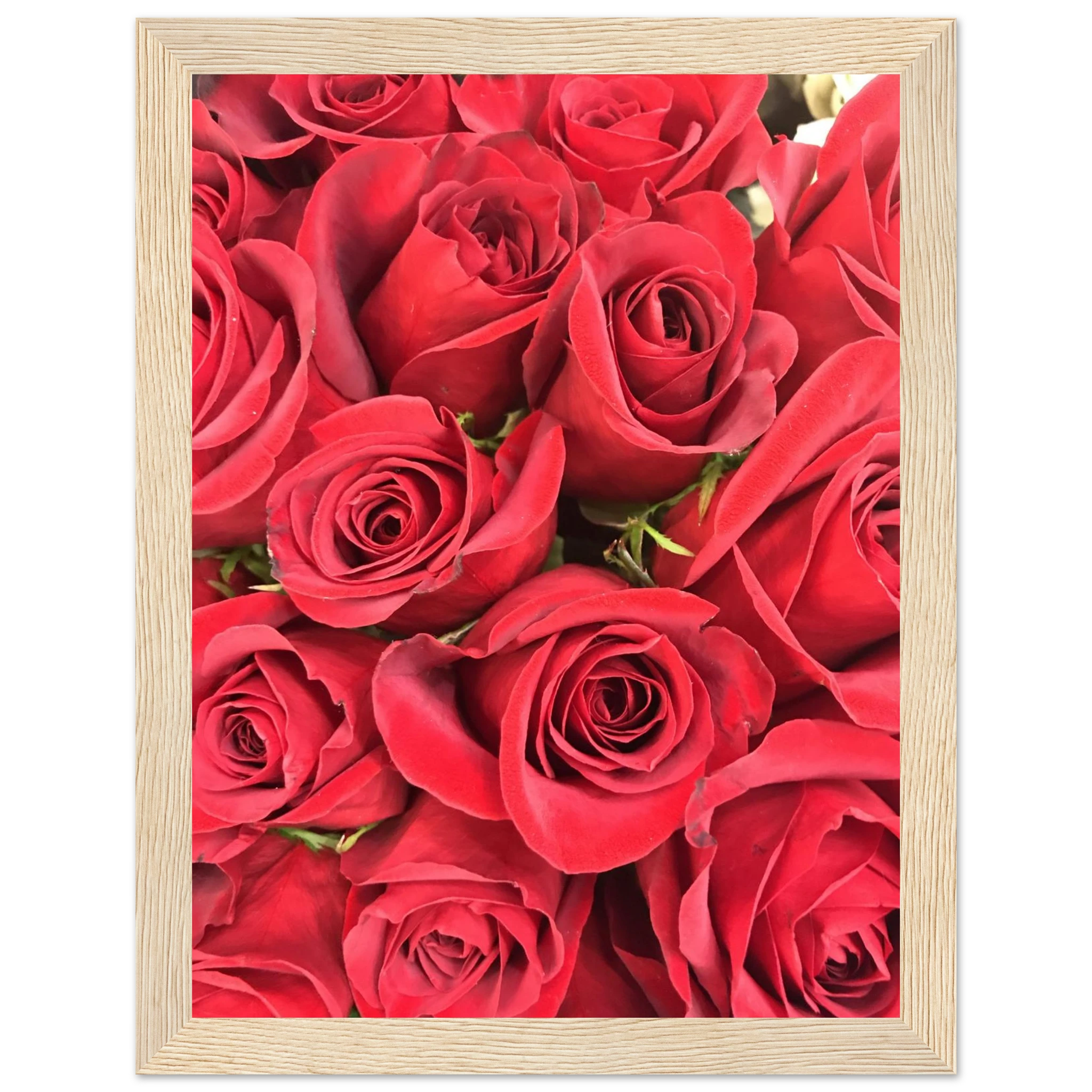 65566ec4-2a1e-44b7-beda-ed24ae44e09f