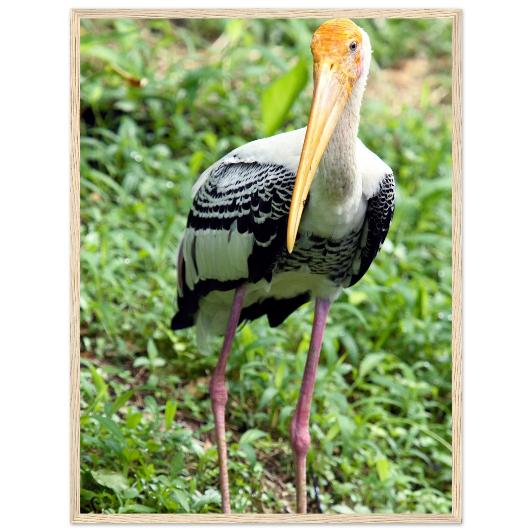 6563e1a0-6e20-4ed4-b58d-43417ea6a7b1