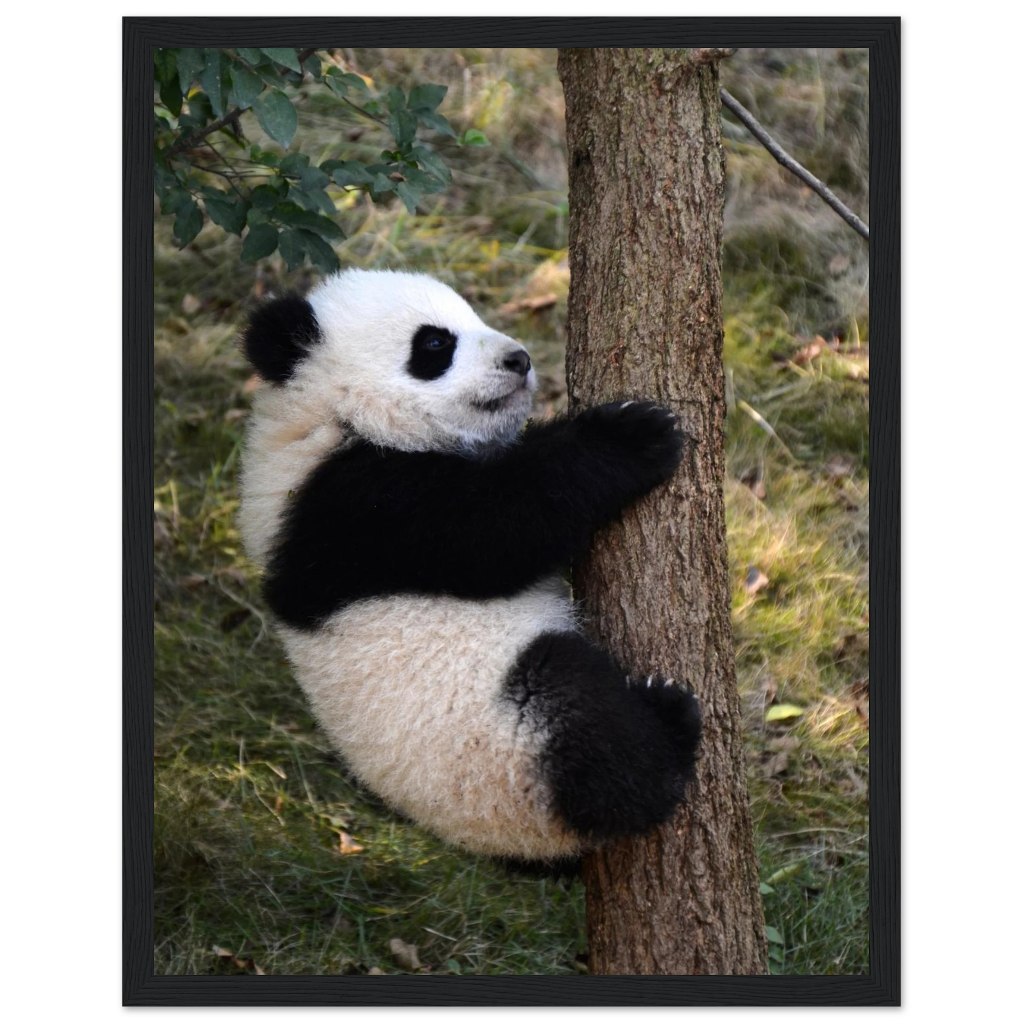 656822bd-8424-4479-857e-f8165ab26713