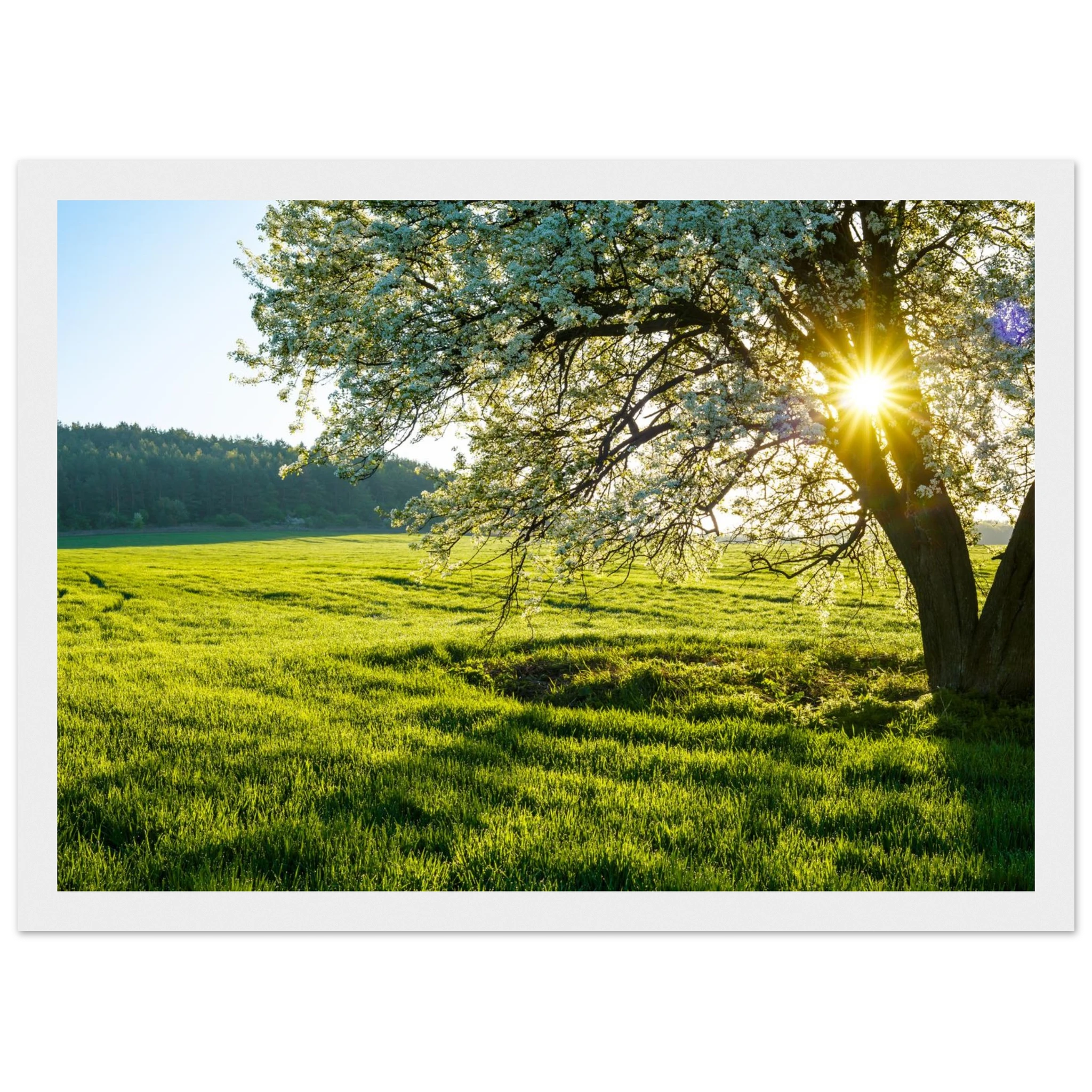 6579f88d-07bd-46ff-8a8d-b700a7381fca