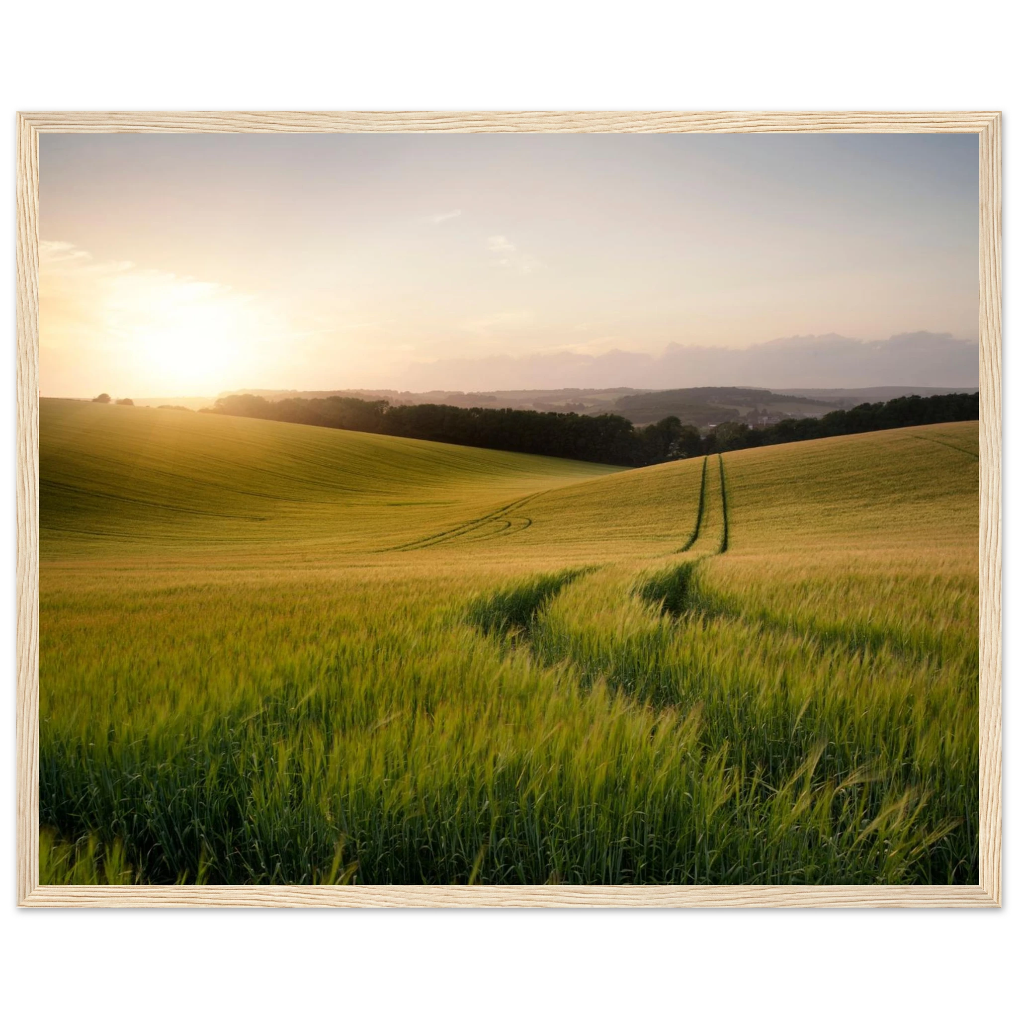 6582fc11-8179-4090-996e-52c1e07b3652