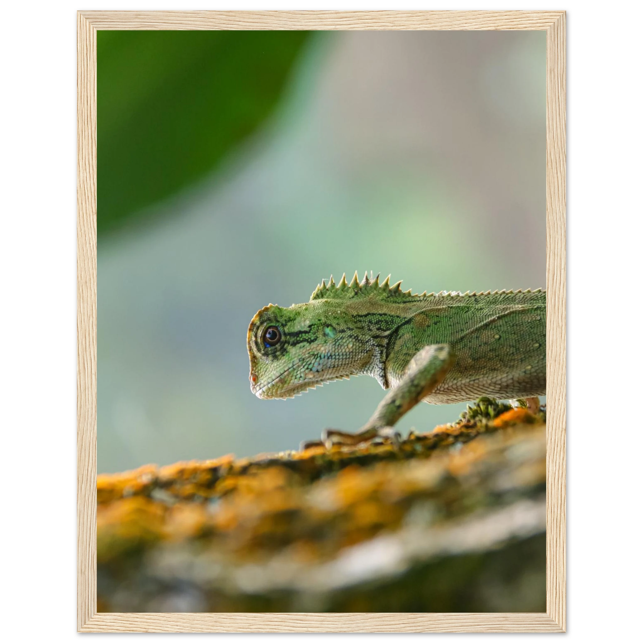 65d63e37-850e-4a0a-a9cd-840a9d0586d4