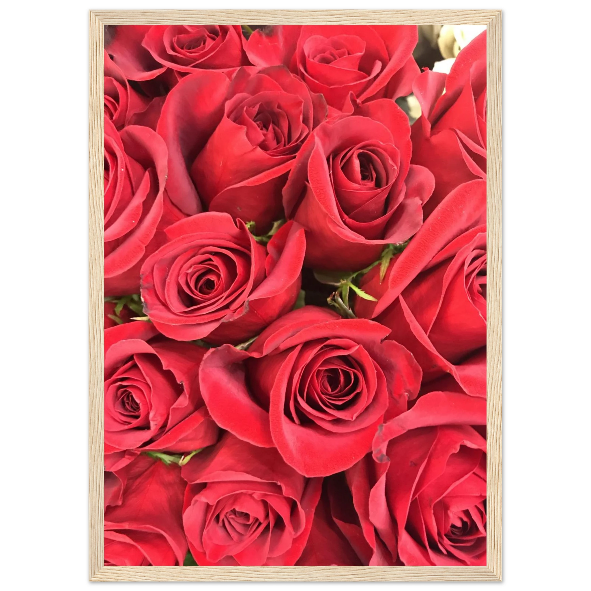 66066d87-fdd6-4a38-9ae3-5ec8ed59163e