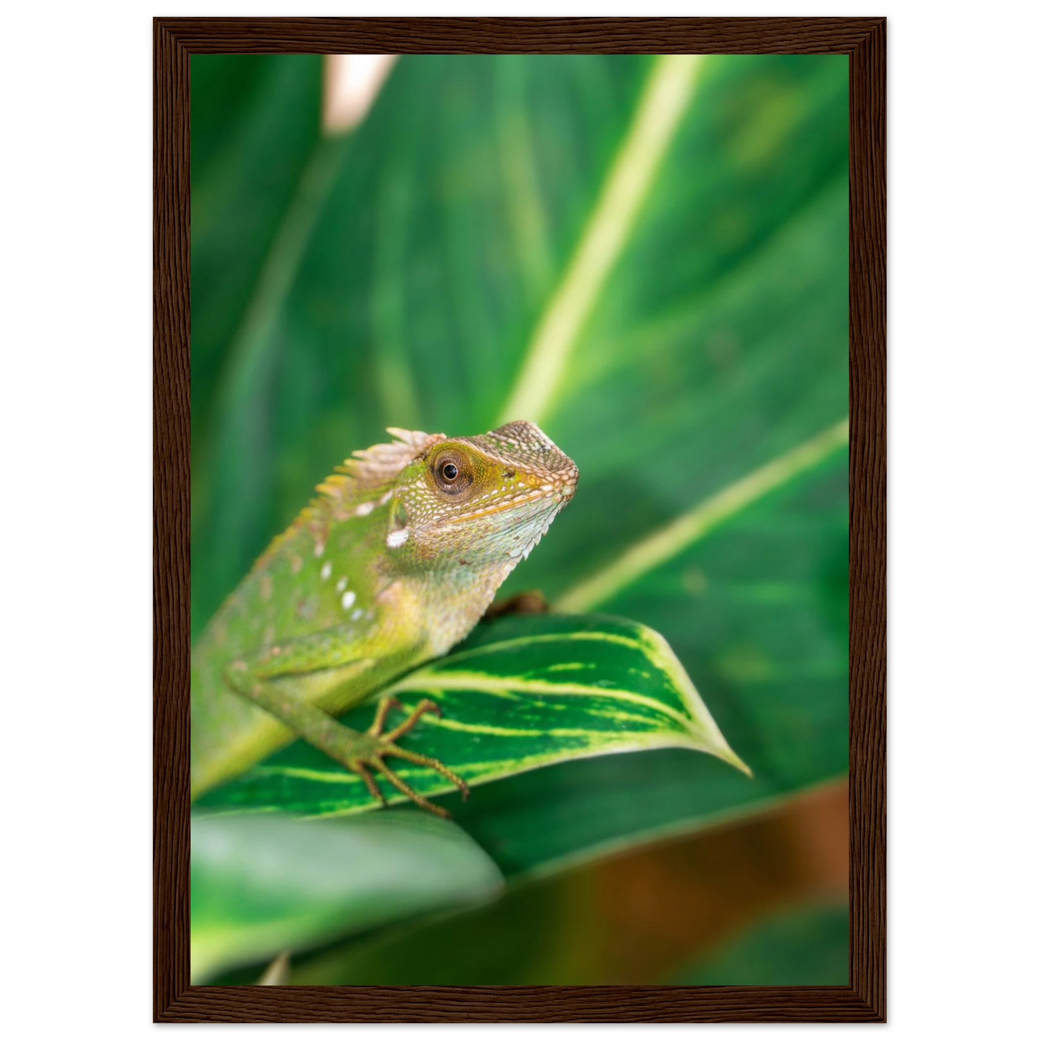 66088ad4-367f-4c51-a3aa-7795462d8146