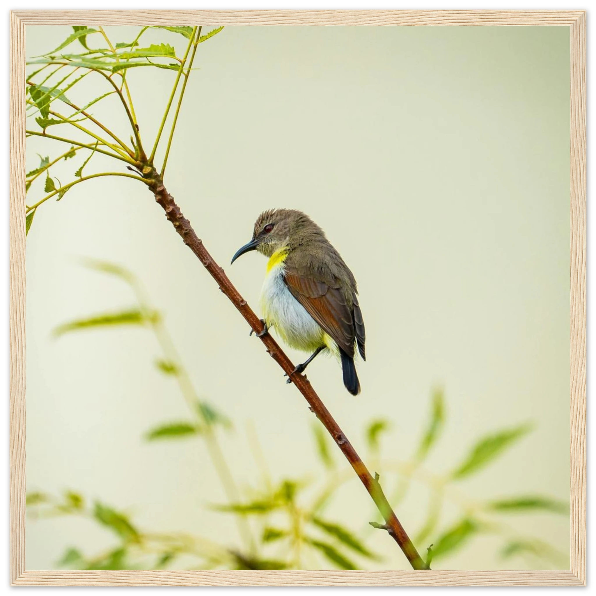 66535a33-a04f-44a3-93c0-b1031deb96d3